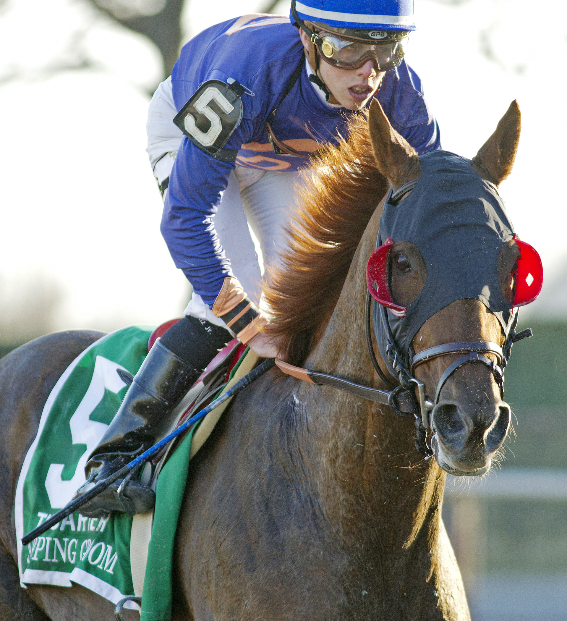 Strapping Groom finishes fifth in the Carter