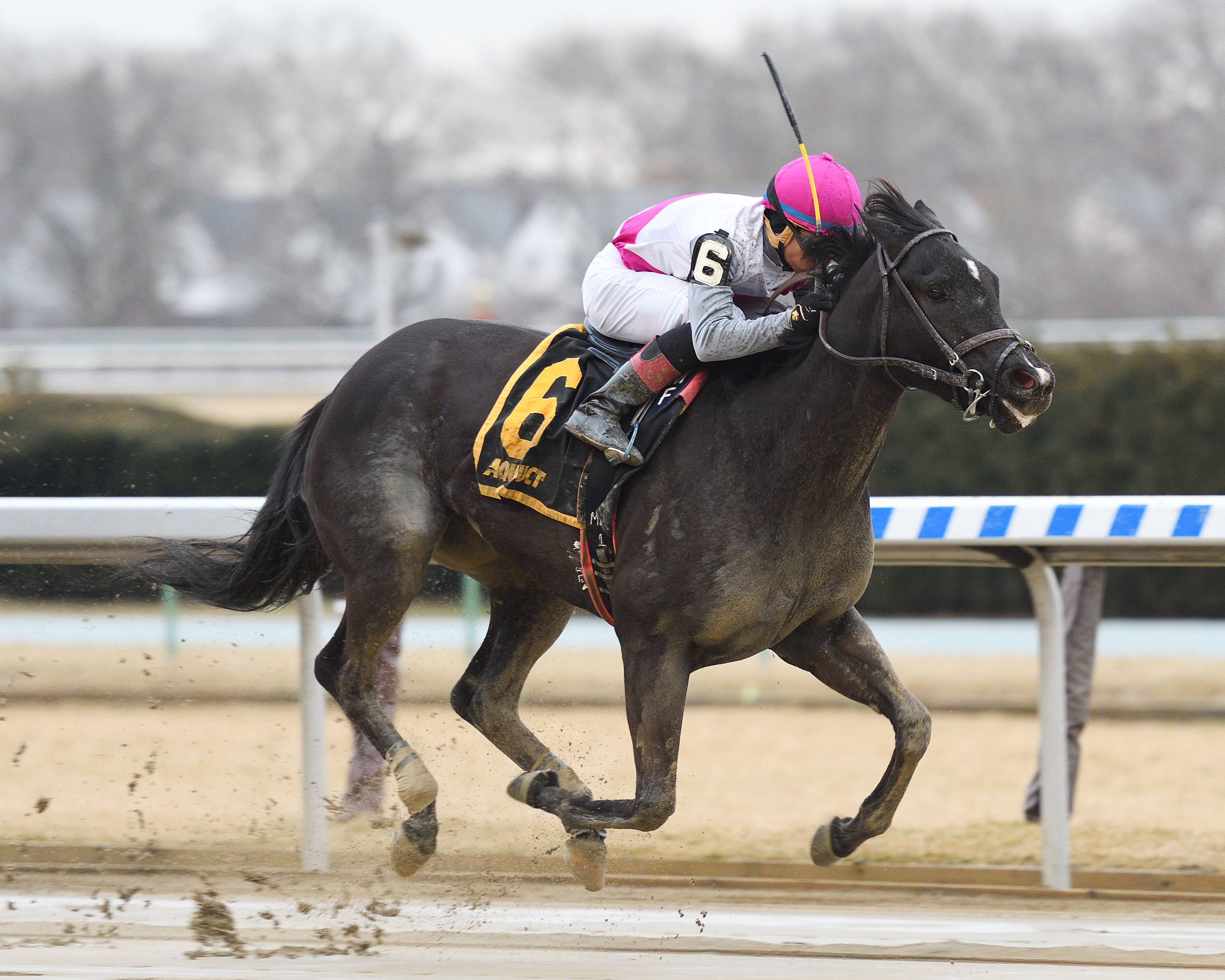 Strategic Dreams wins the 2018 Ruthless Stakes