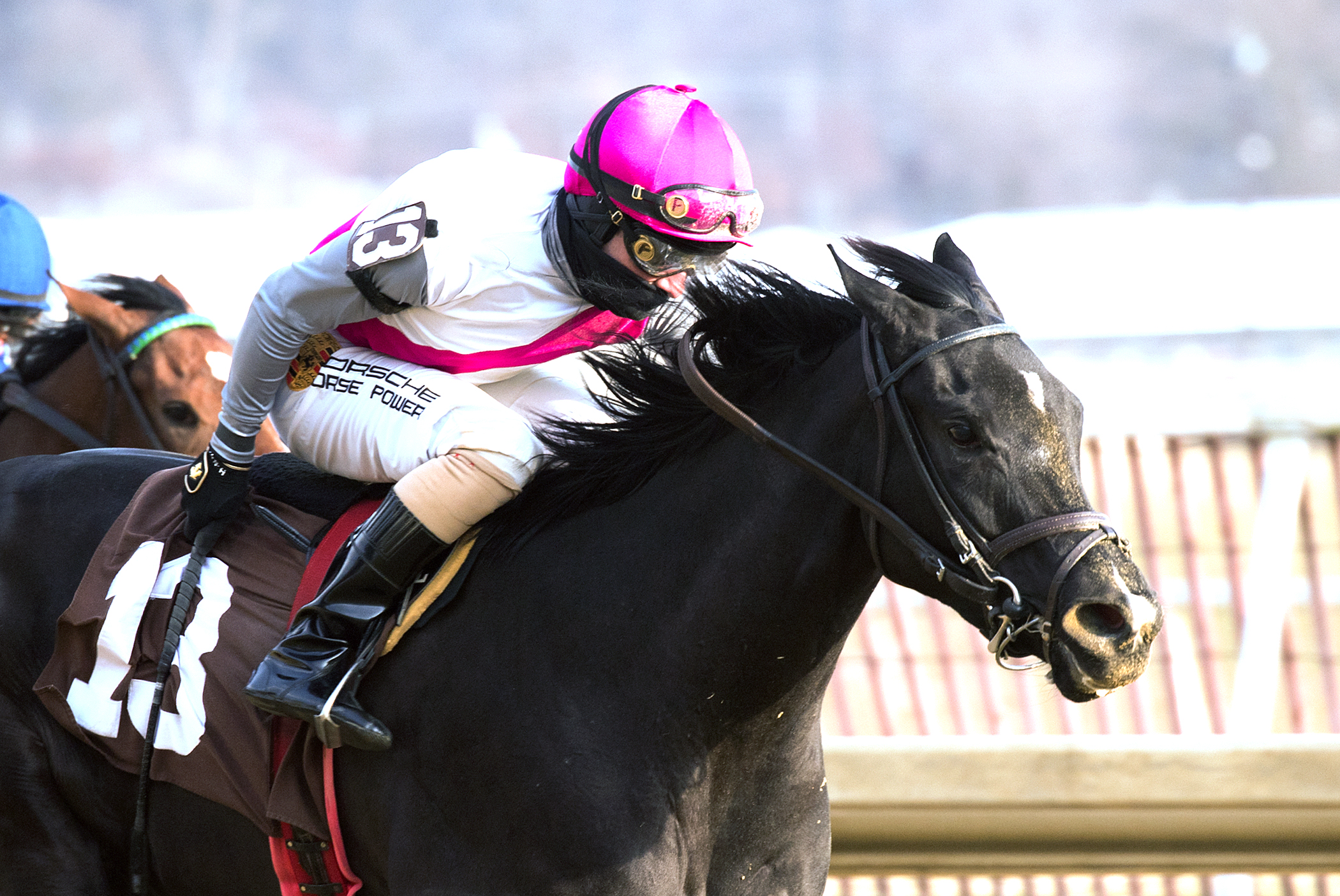Strategic Dreams wins the 2017 Gin Talking Stakes