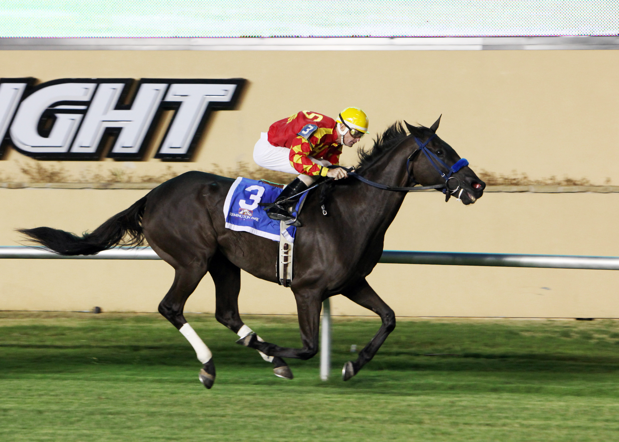 Strategic Leader, Red Earth Stakes