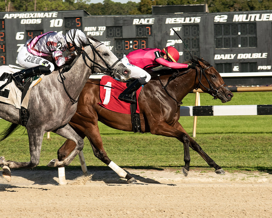 Strategic Bird wins the 2021 Sandpiper Stakes at Tampa Bay Downs