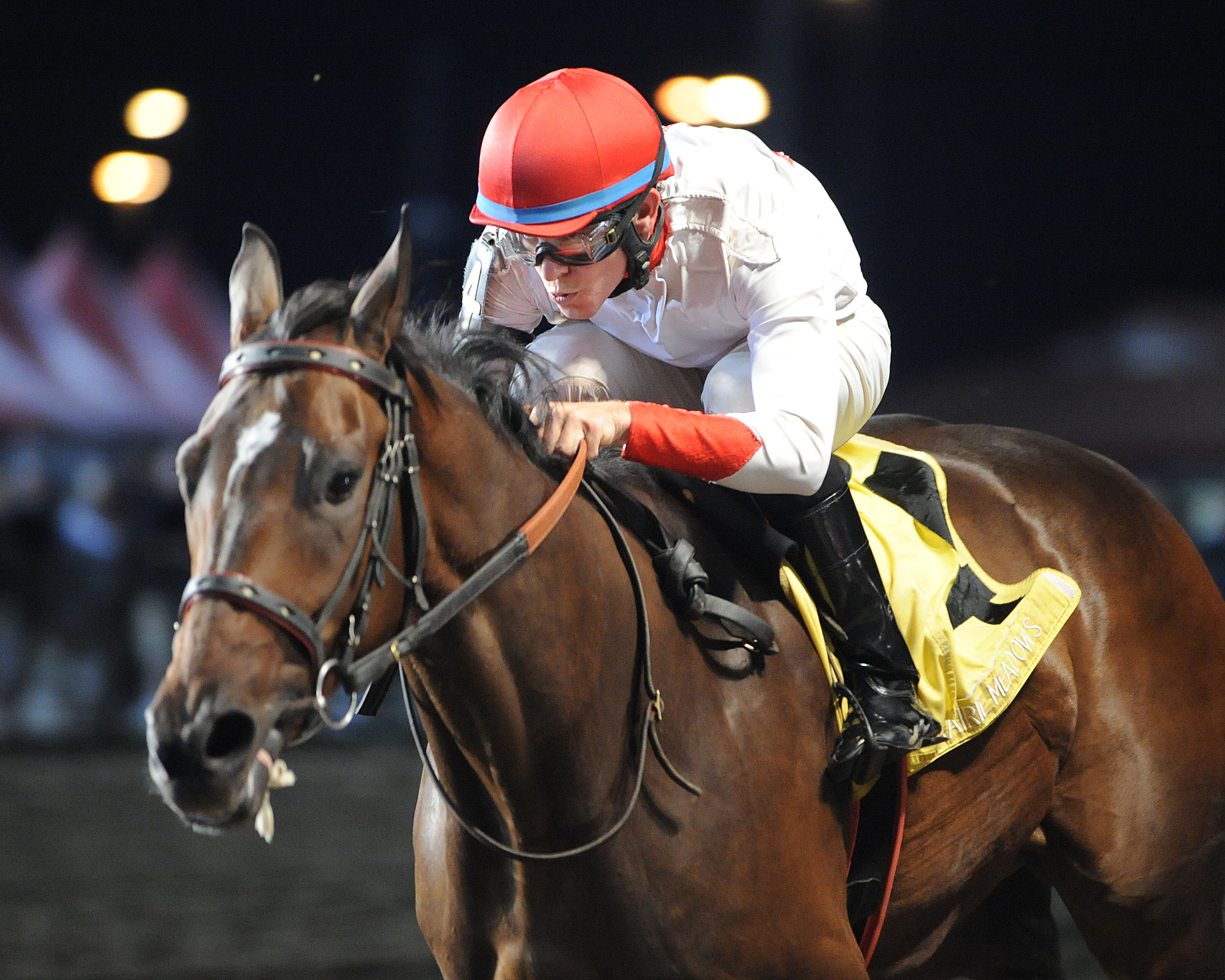 Strawberry Baby wins 2014 Prairie Gold Lassie