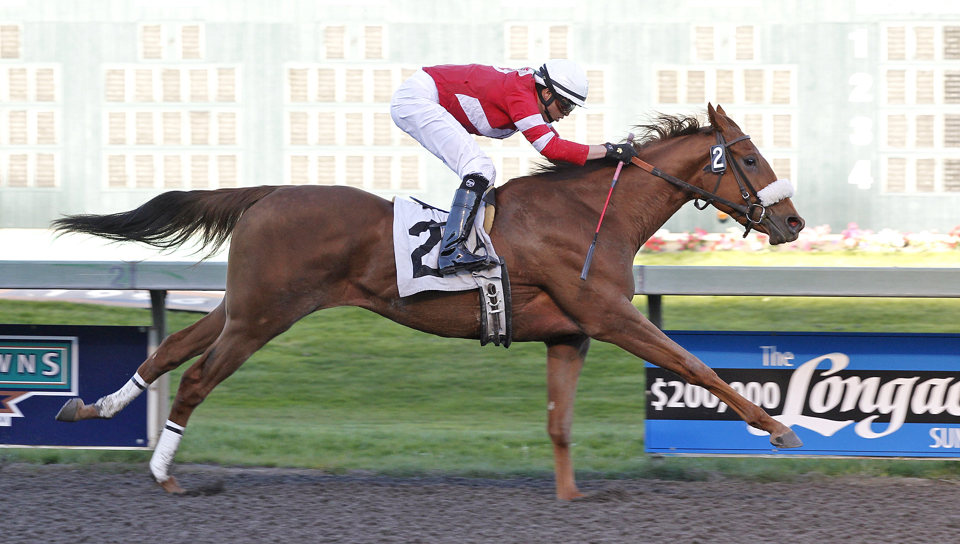 Strawberry Dawn wins a feature race at Emerald Downs