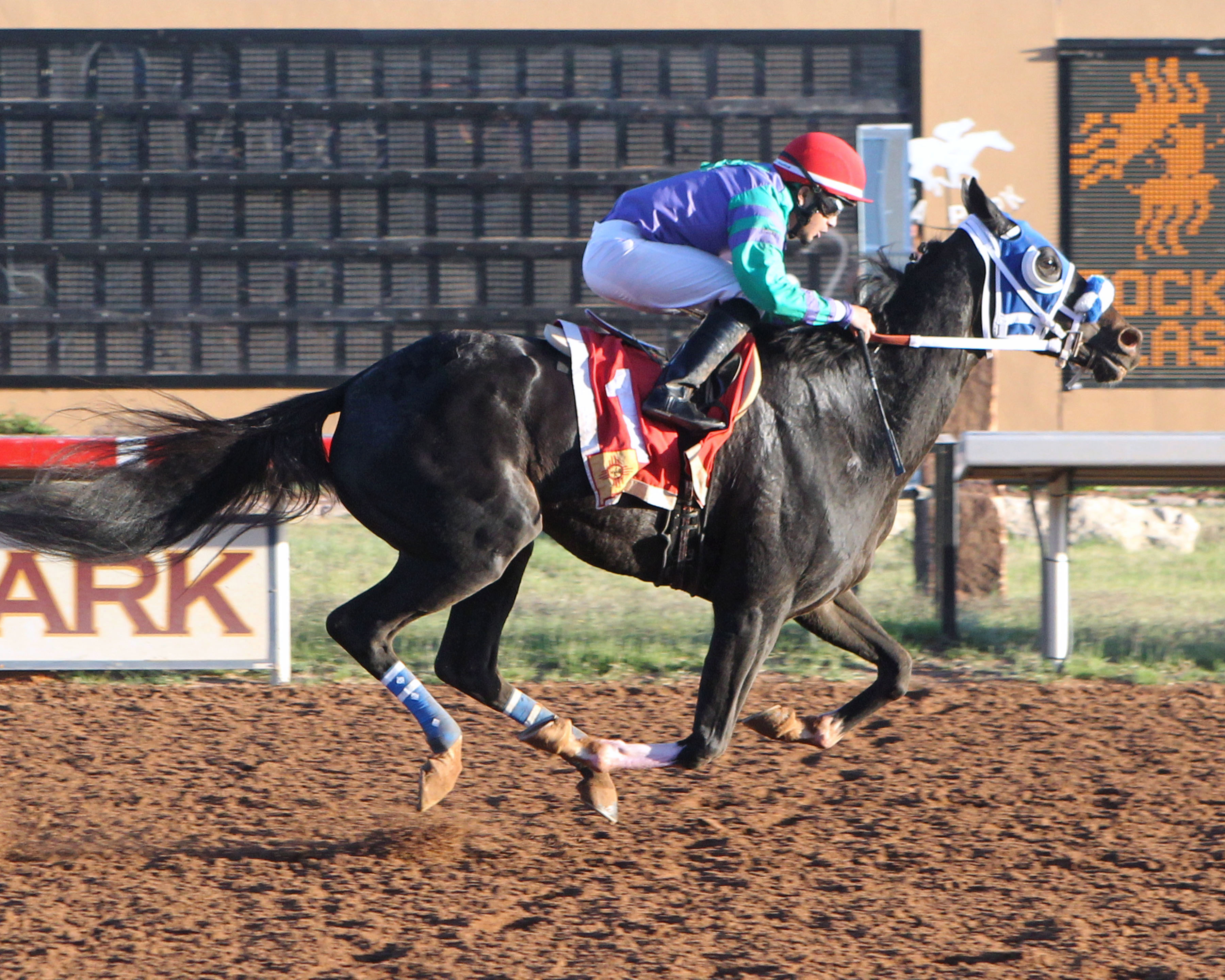 Streaks Bro wins the New Mexico Cup Classic