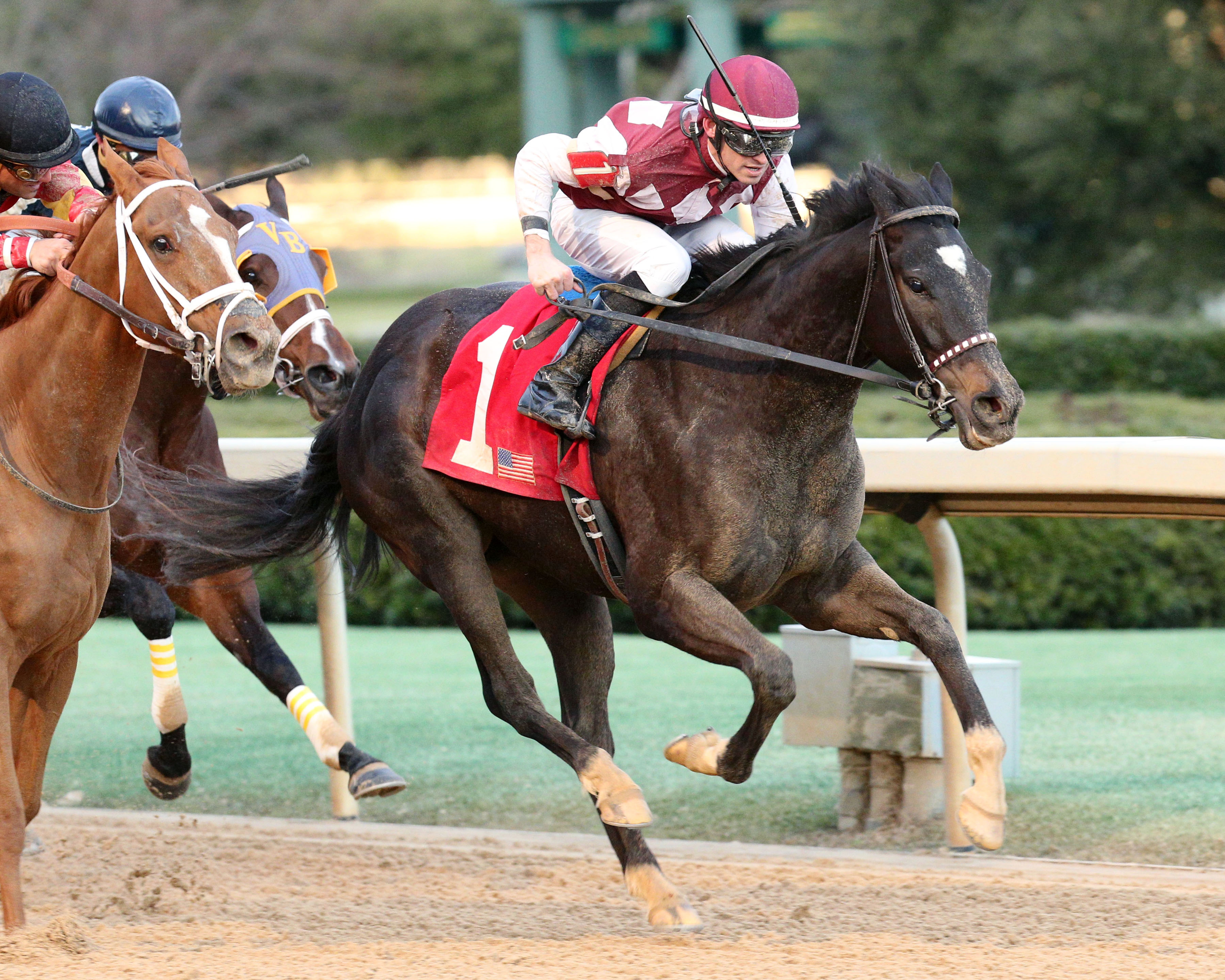 Streamline wins the Pippin