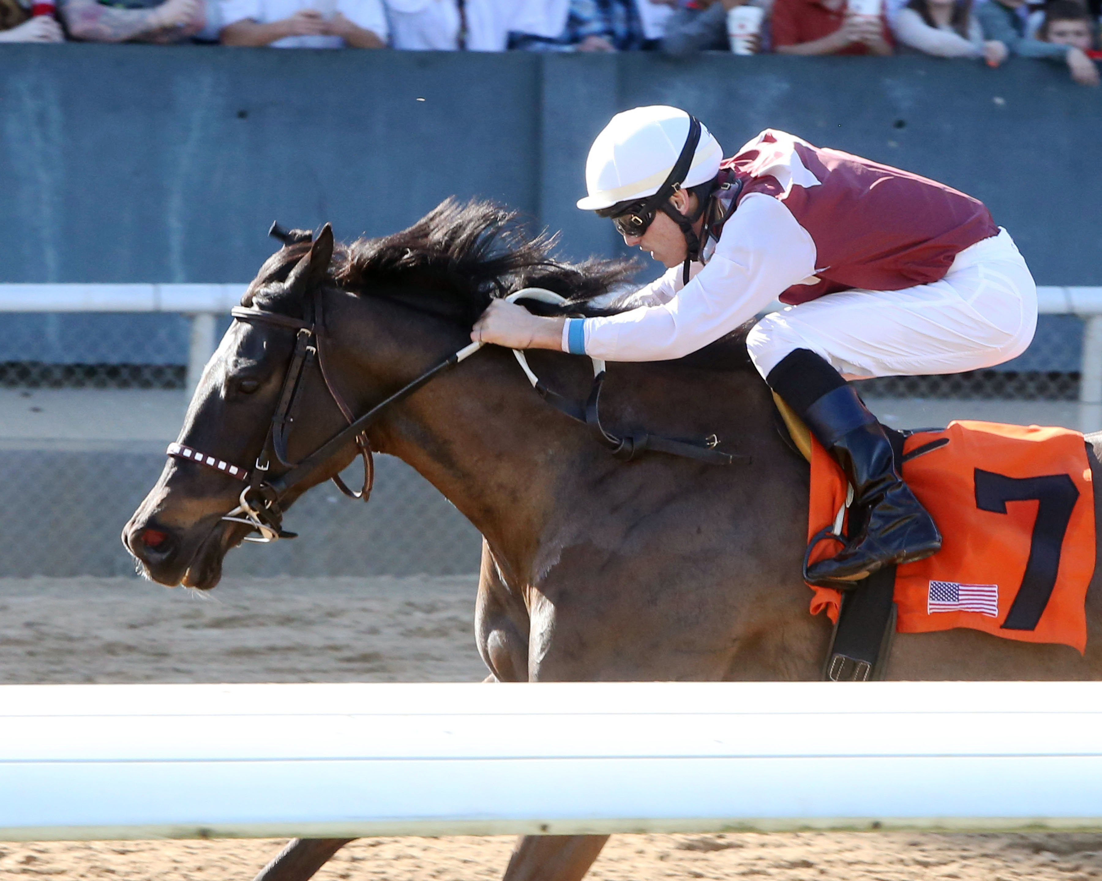 Streamline wins the Azeri