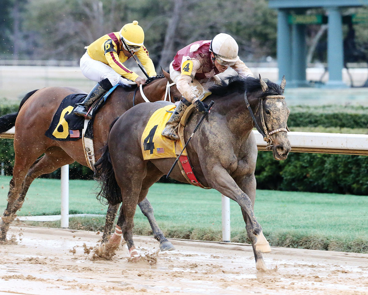 Streamline wins the 2018 Bayakoa