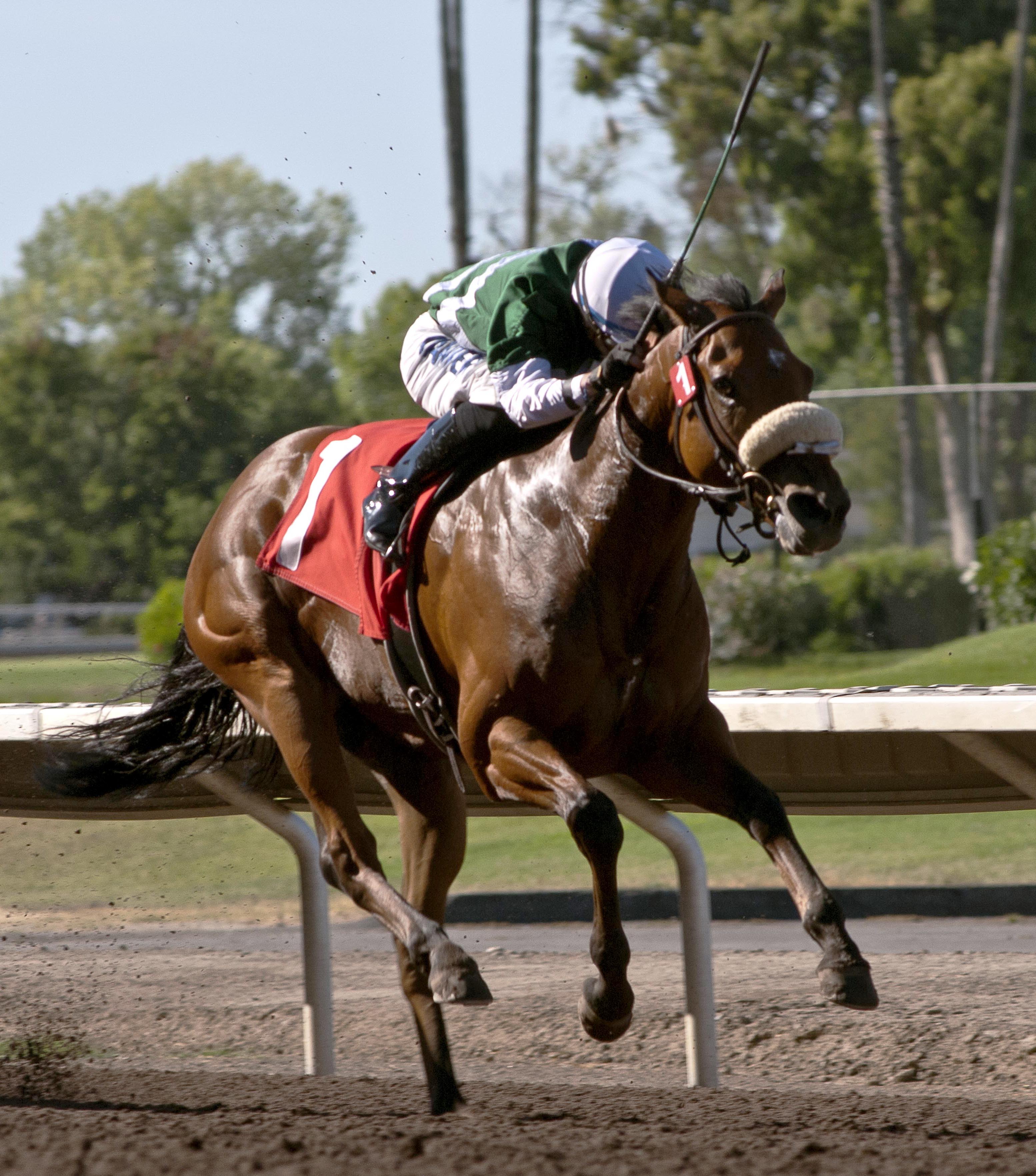Streamside wins the Oak Tree Spring Stakes