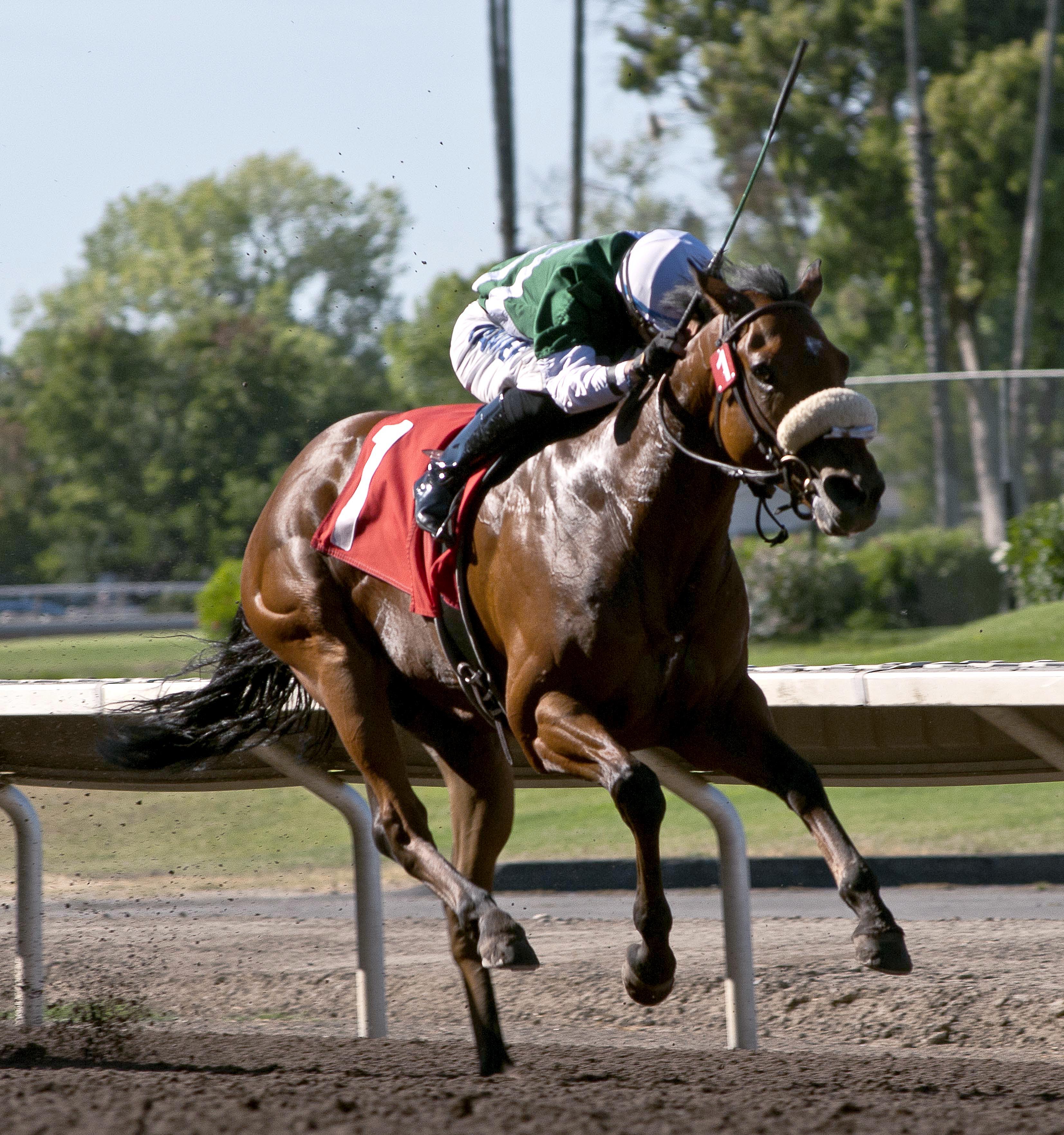 Streamside wins the 2014 Oak Tree Spring Stakes