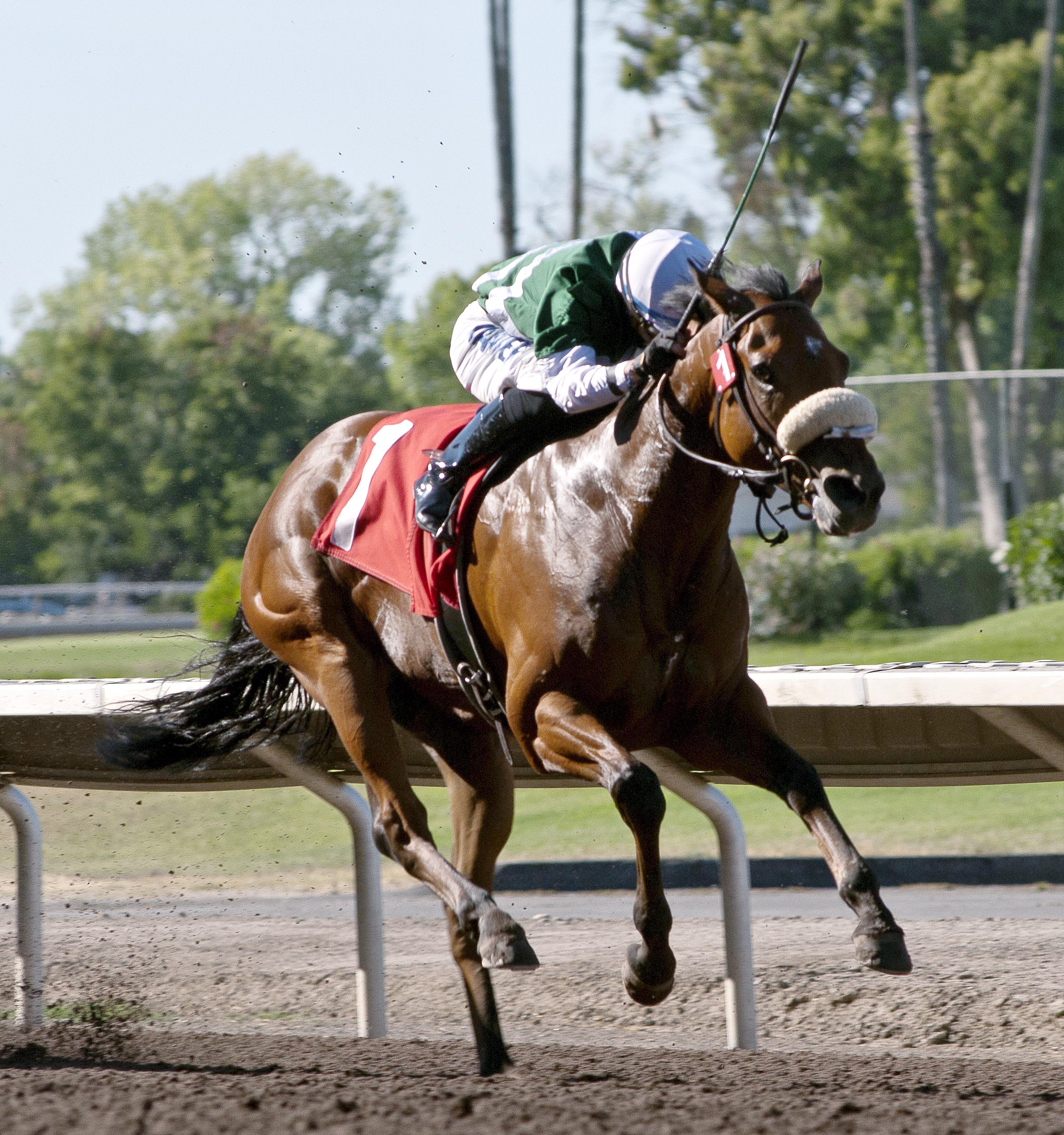 Streamside wins the 2014 Oak Tree Spring Stakes