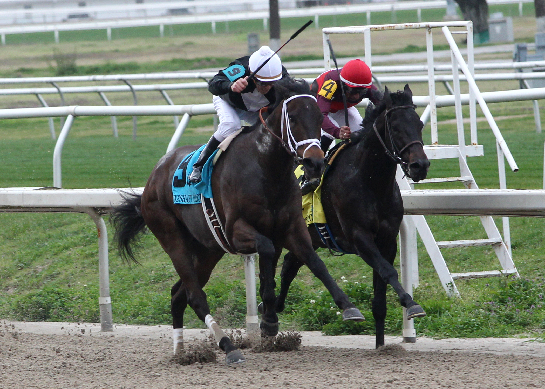 Street Babe wins 2015 Mineshaft