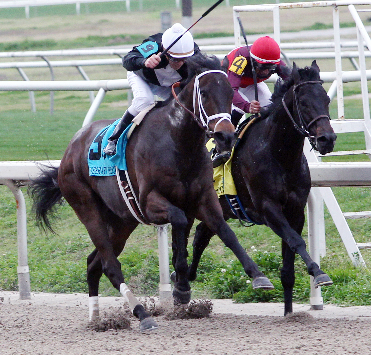 Street Babe wins the Mineshaft