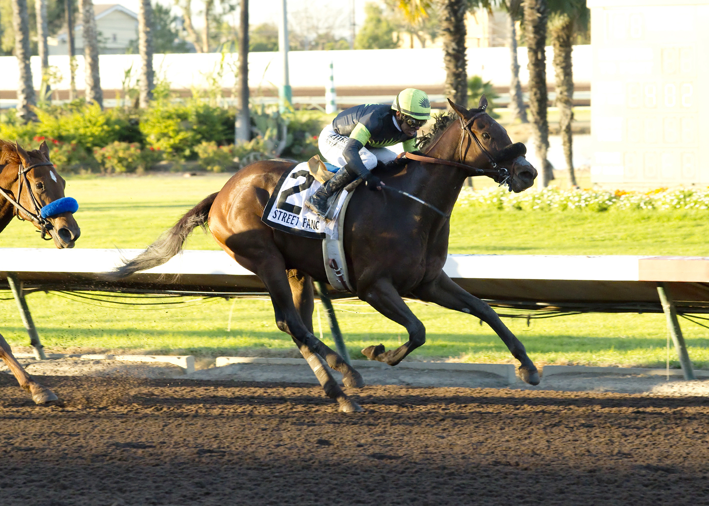 Street Fancy wins the Starlet Stakes