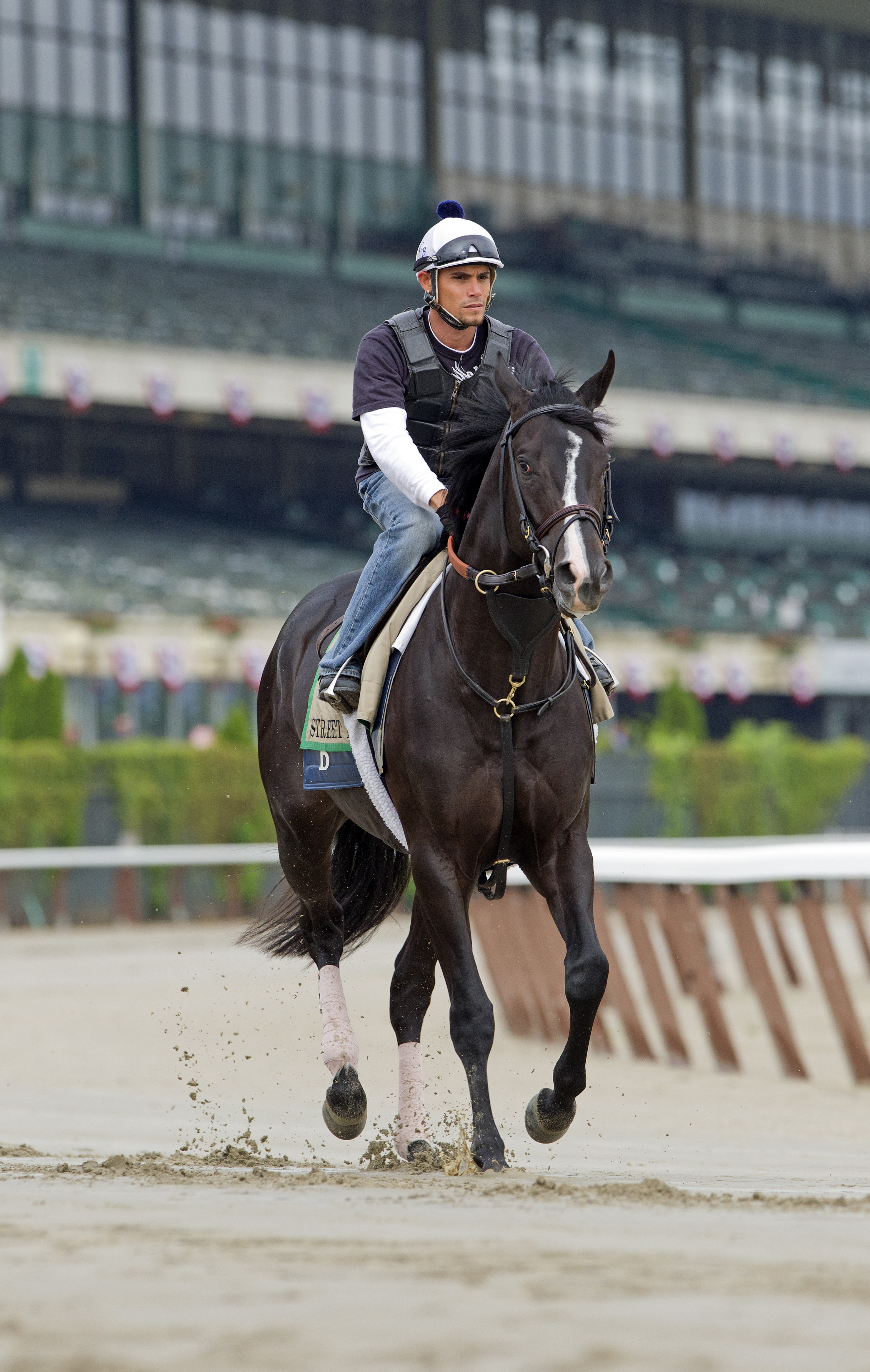 2012 Belmont Stakes: Union Rags, Dullahan among those to have works postponed on Saturday