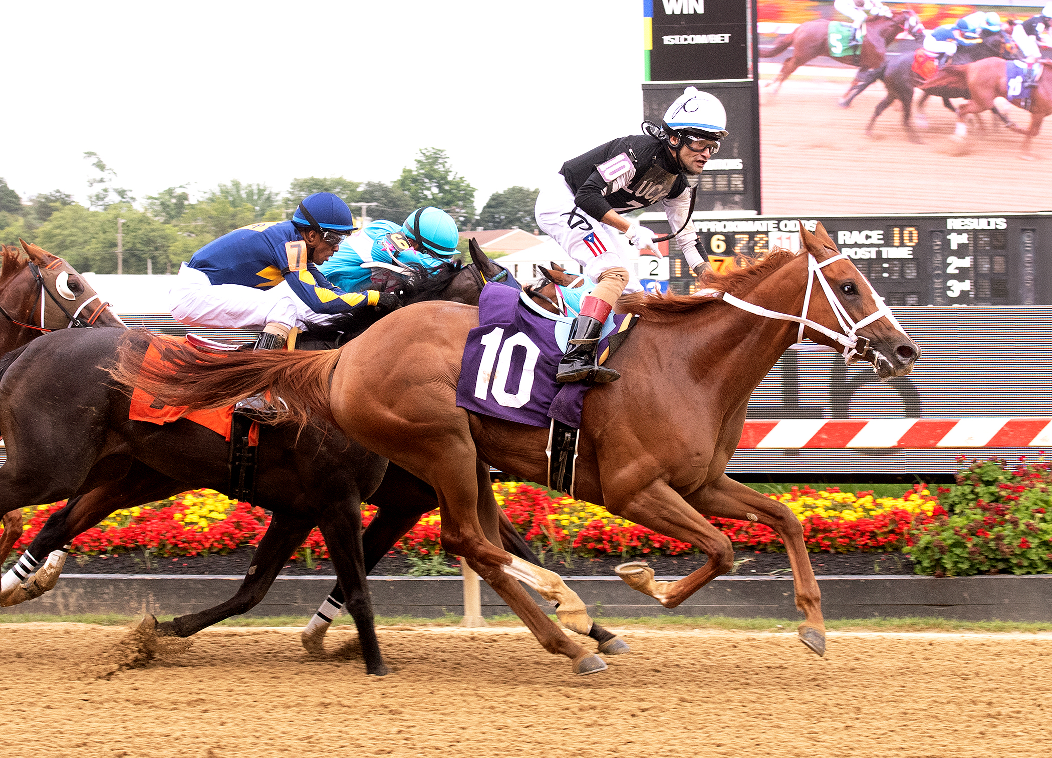 Street Lute wins Stormy Blues Stakes 6-13-2021