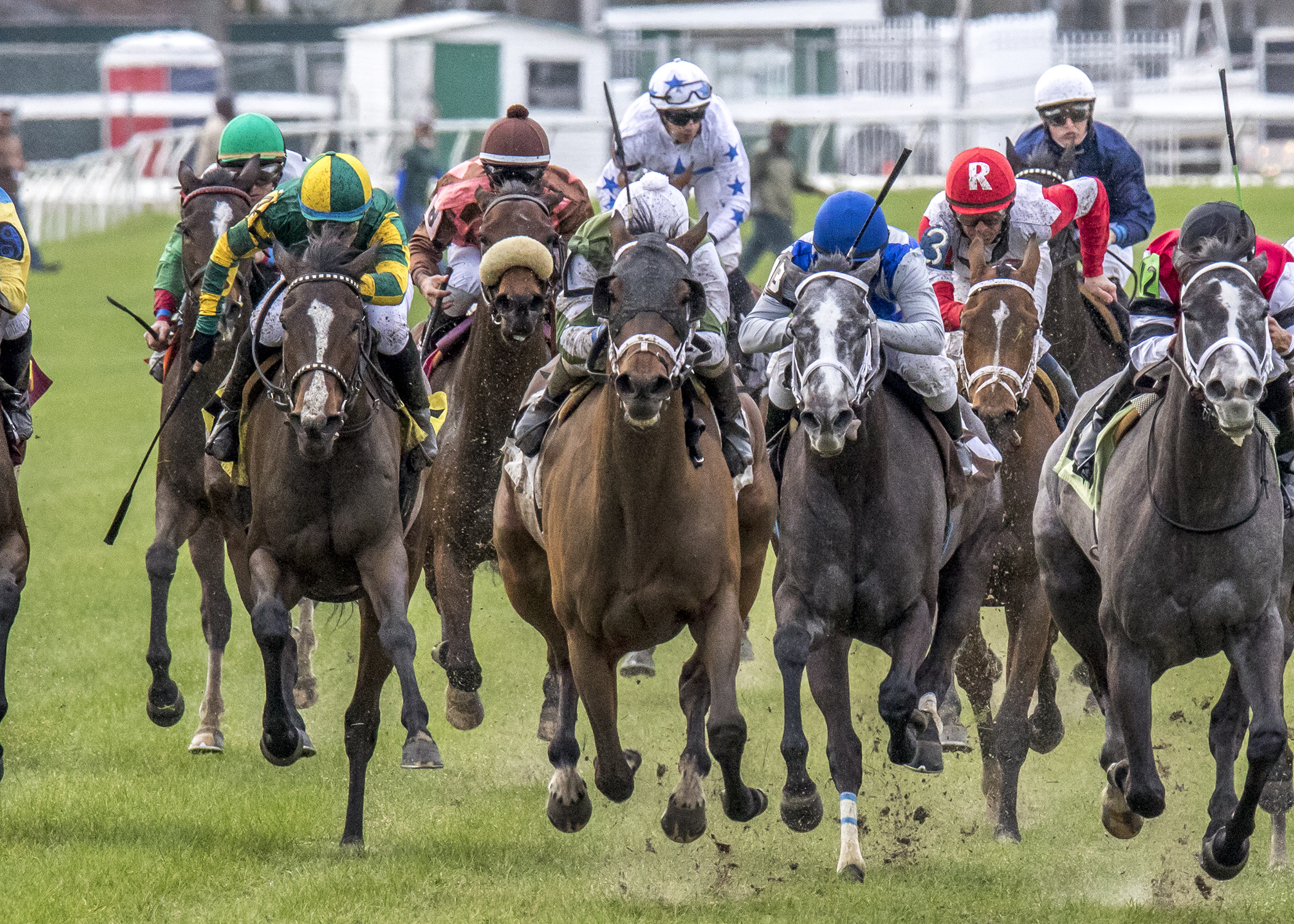 Street of Gold wins 2016 Krantz Memorial
