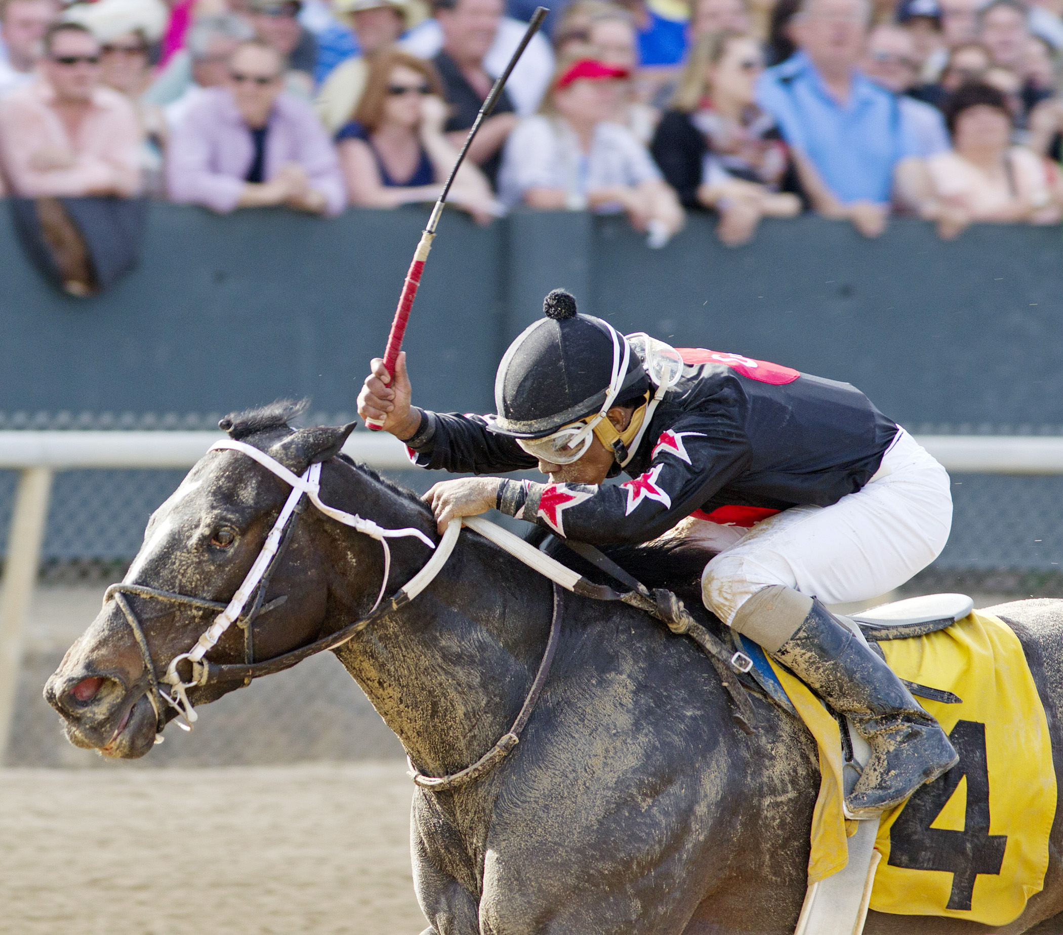 Street Story wins the Instant Racing Stakes