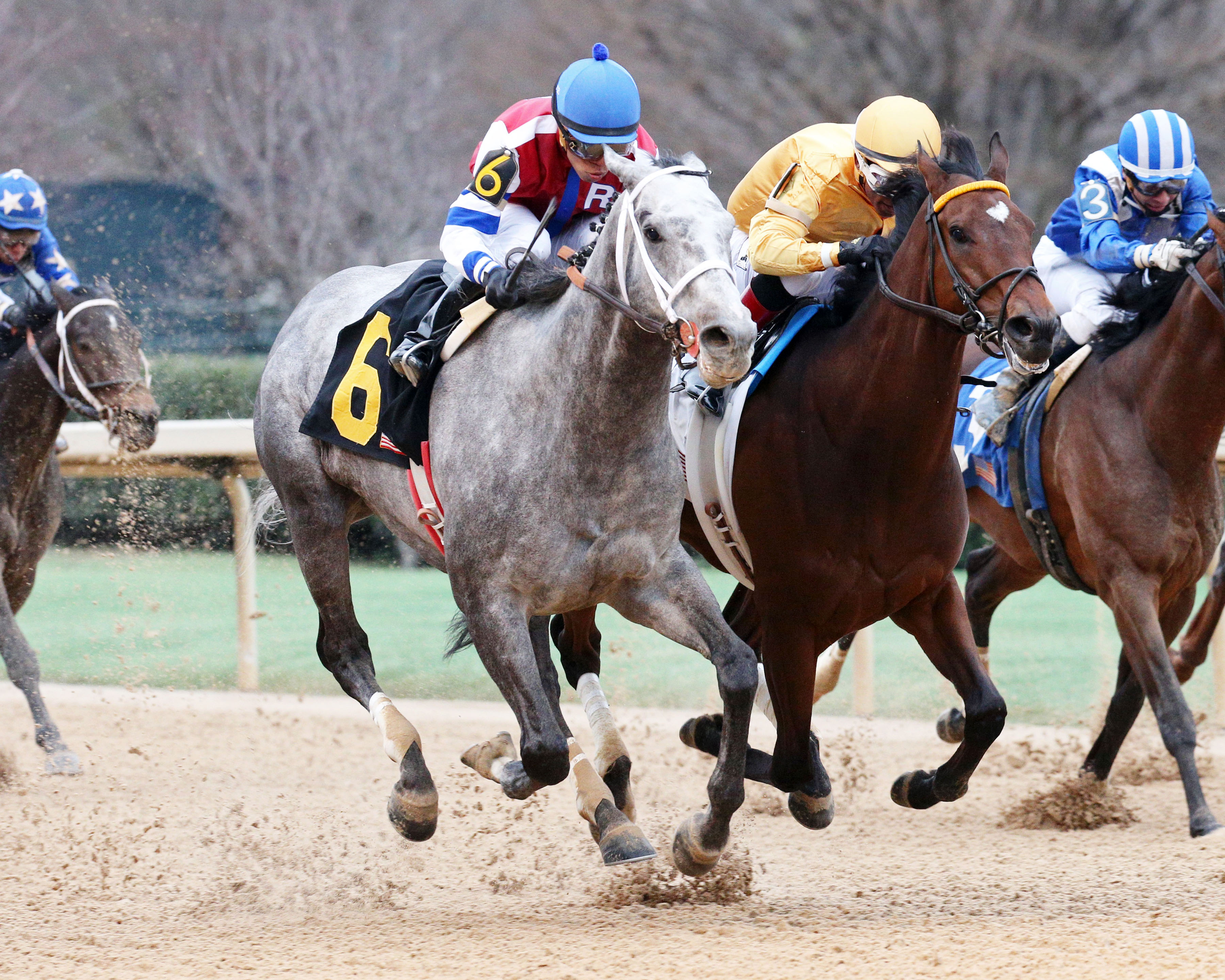 Street Strategy wins the Fifth Season
