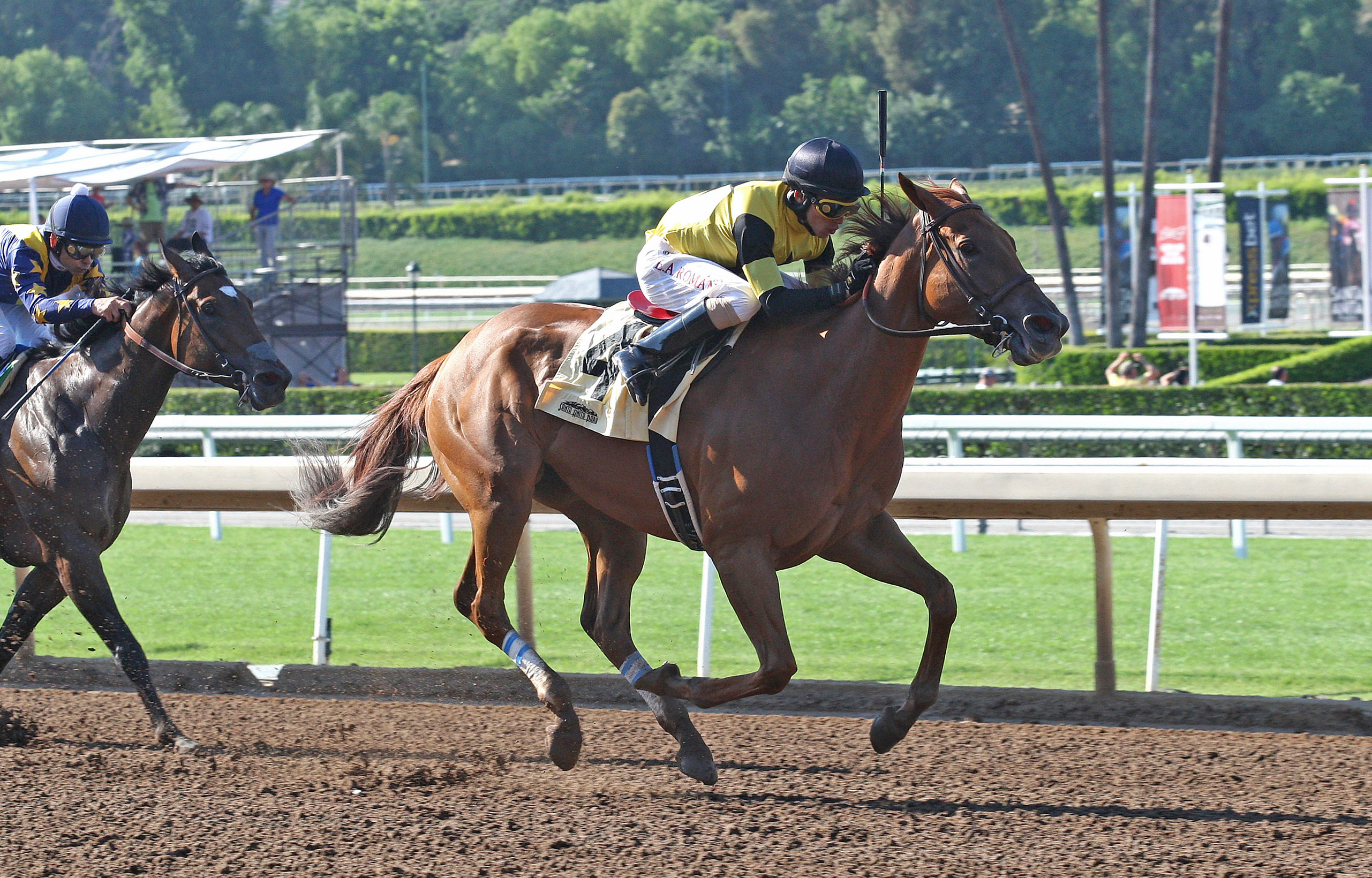 Street Surrender wins the Southern Truce Stakes