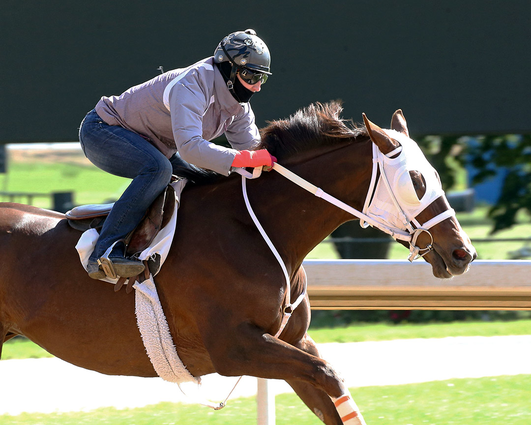 Street Band trains at Oaklawn Park in April 2020