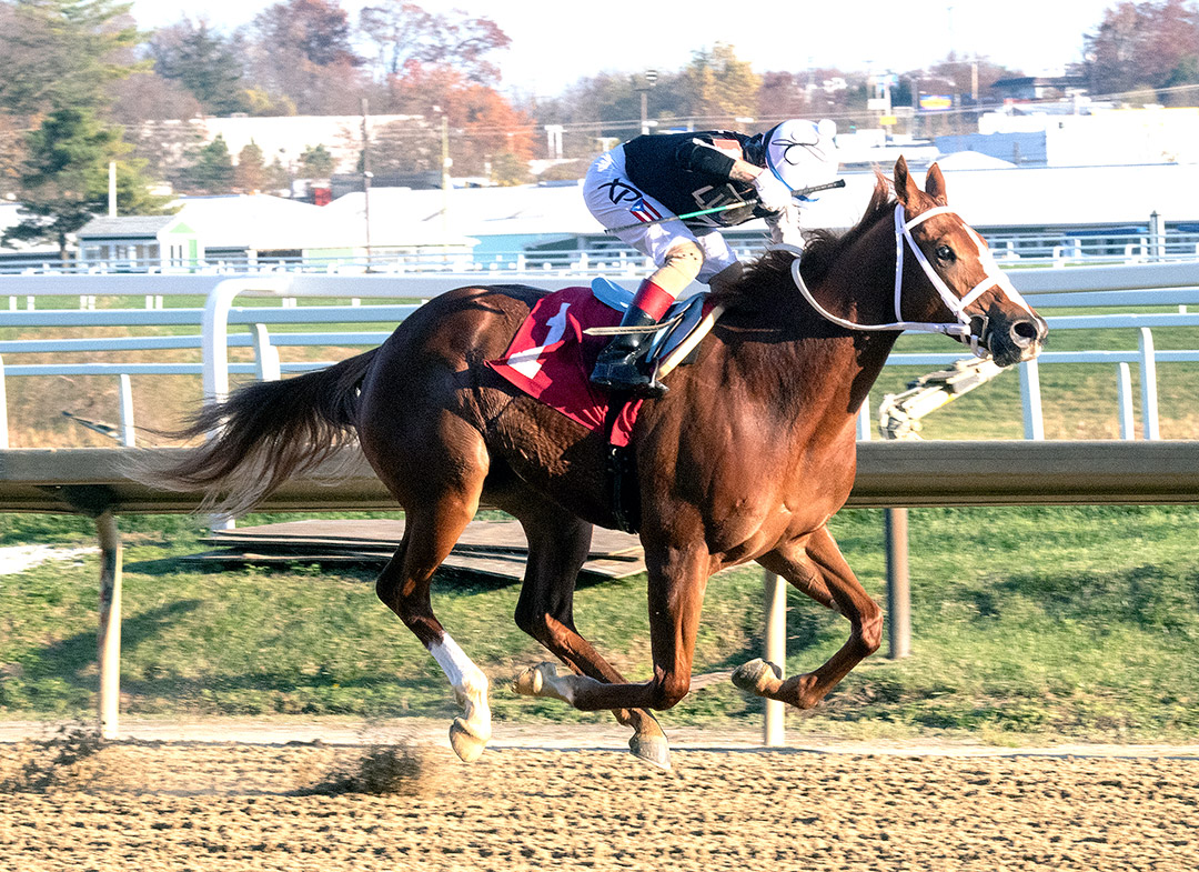 Street Lute wins the 2020 Smart Halo Stakes at Laurel Park