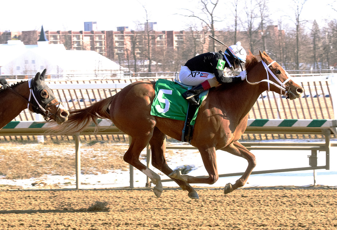 Street Lute wins the 2021 Wide Country Stakes at Laurel Park