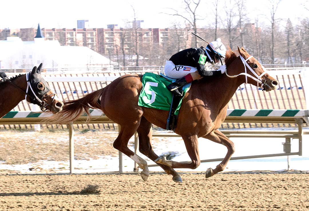 Street Lute wins the 2021 Wide Country Stakes at Laurel Park