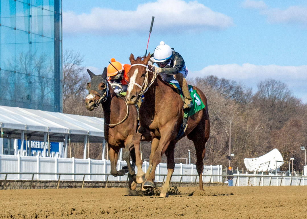 Street Lute wins the 2021 Wide Country Stakes at Laurel Park