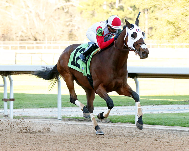 Street to Indy wins a Feb. 8 allowance at Oaklawn Park