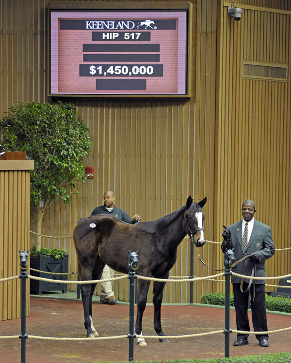 Street Sense filly Keeneland sale no. 2