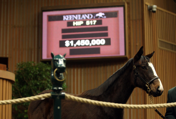 Street Sense filly Keeneland sale no. 1