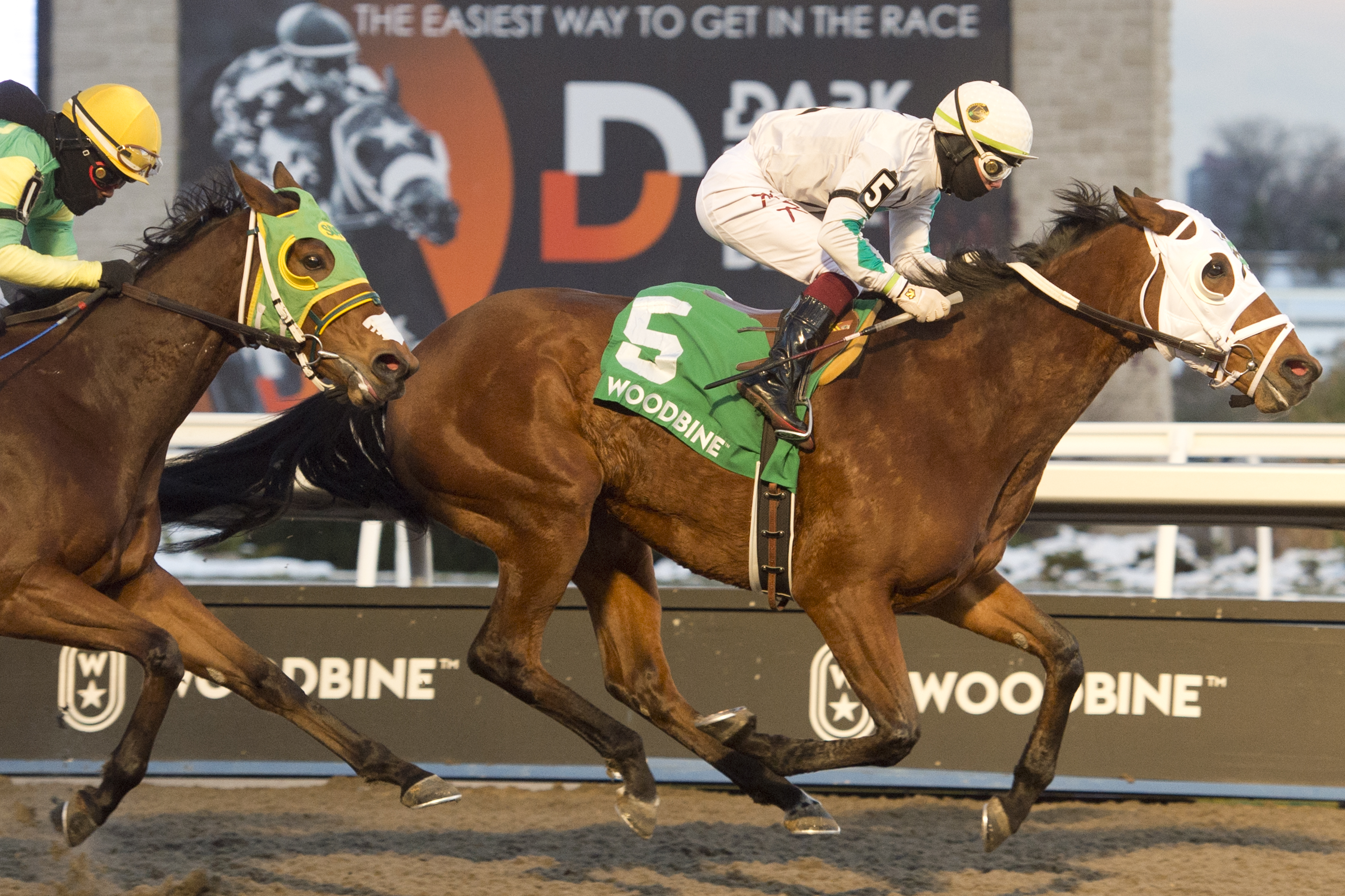 Strega holds off Totally in Charge in the Ashbridges Bay Stakes at Woodbine Nov 18 2022