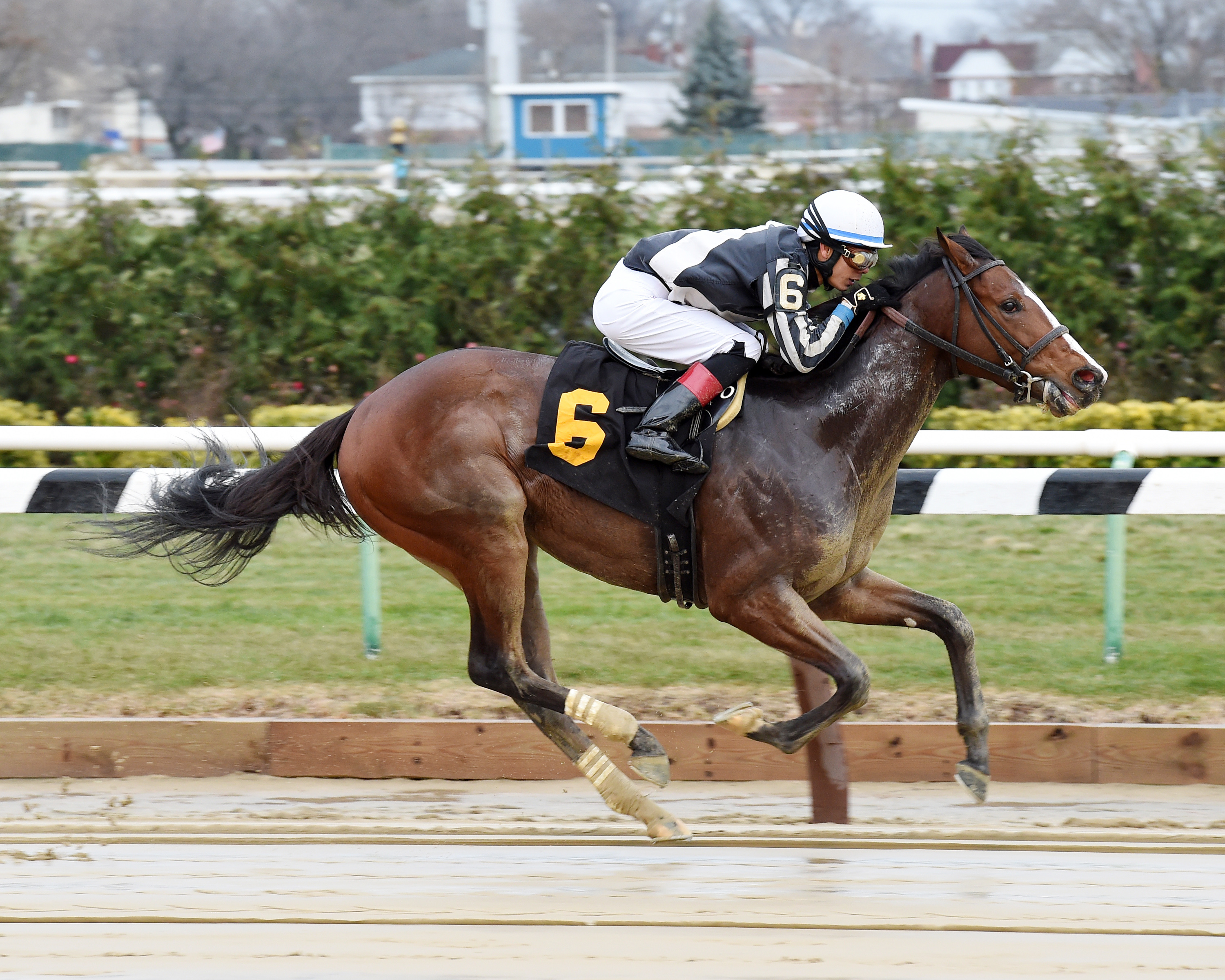 Stretch's Stone wins a maiden race