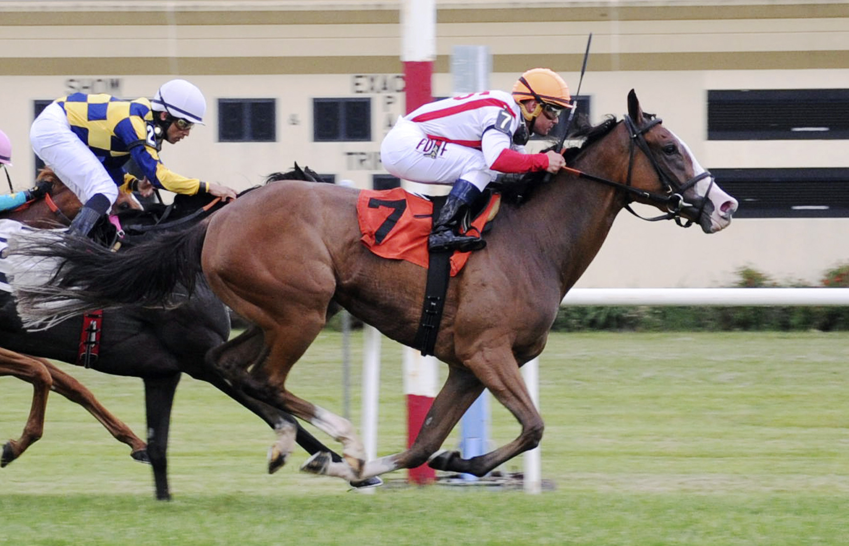 Strict Compliance wins the Penn Oaks