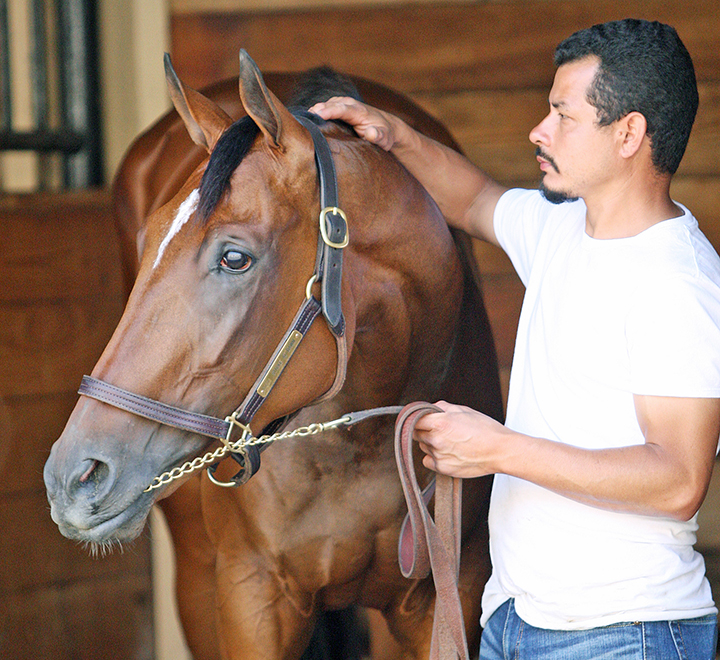 Strike At Dawn at Del Mar on July 17
