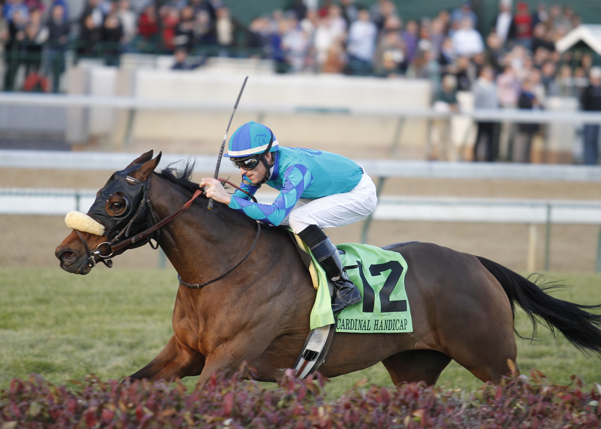 Strike Charmer 11-22-2014