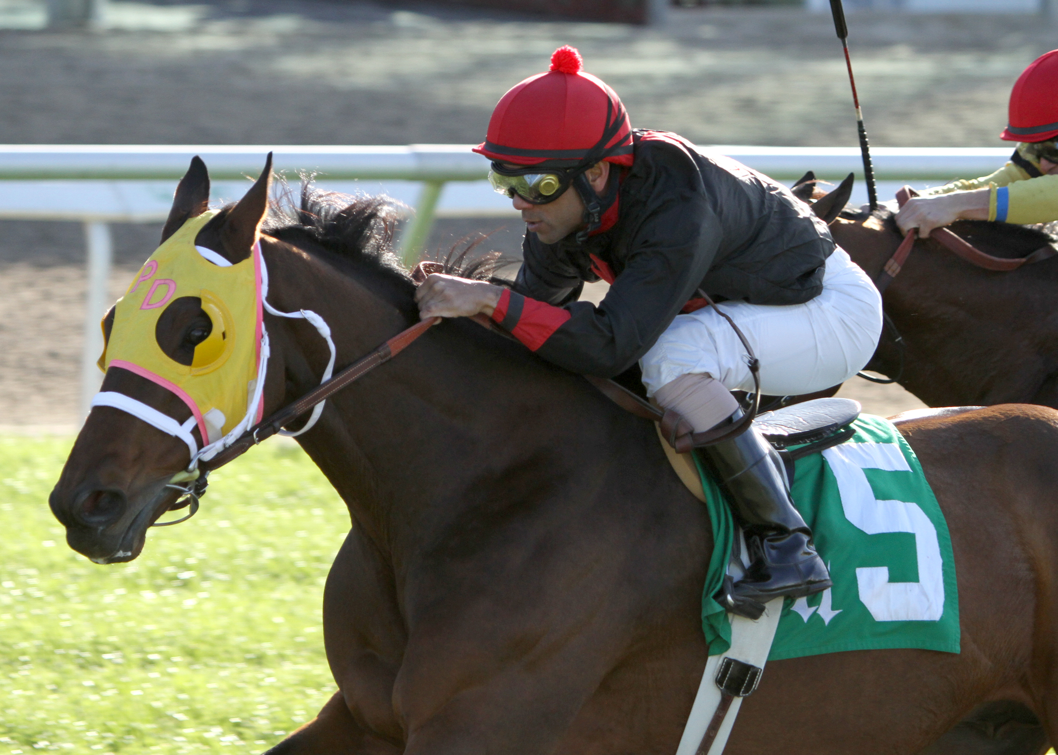 Strike Impact, Diliberto Handicap