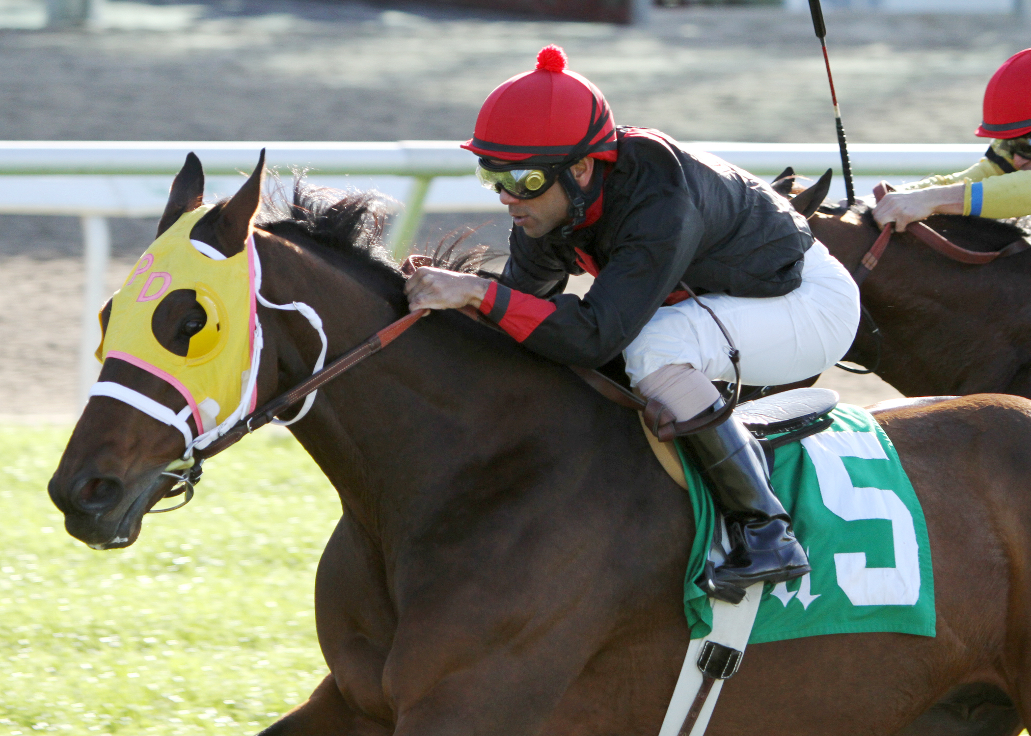 Strike Impact wins the Diliberto Memorial