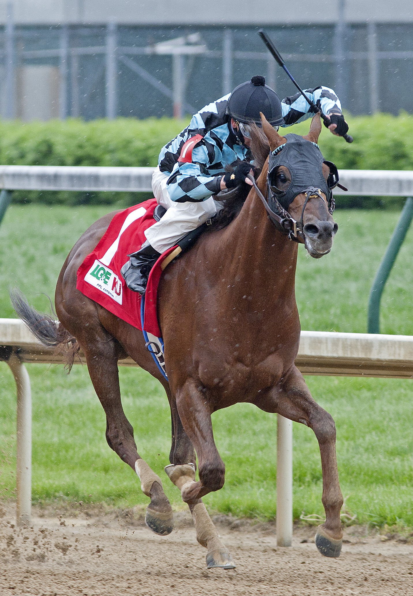 Strike One wins a maiden race