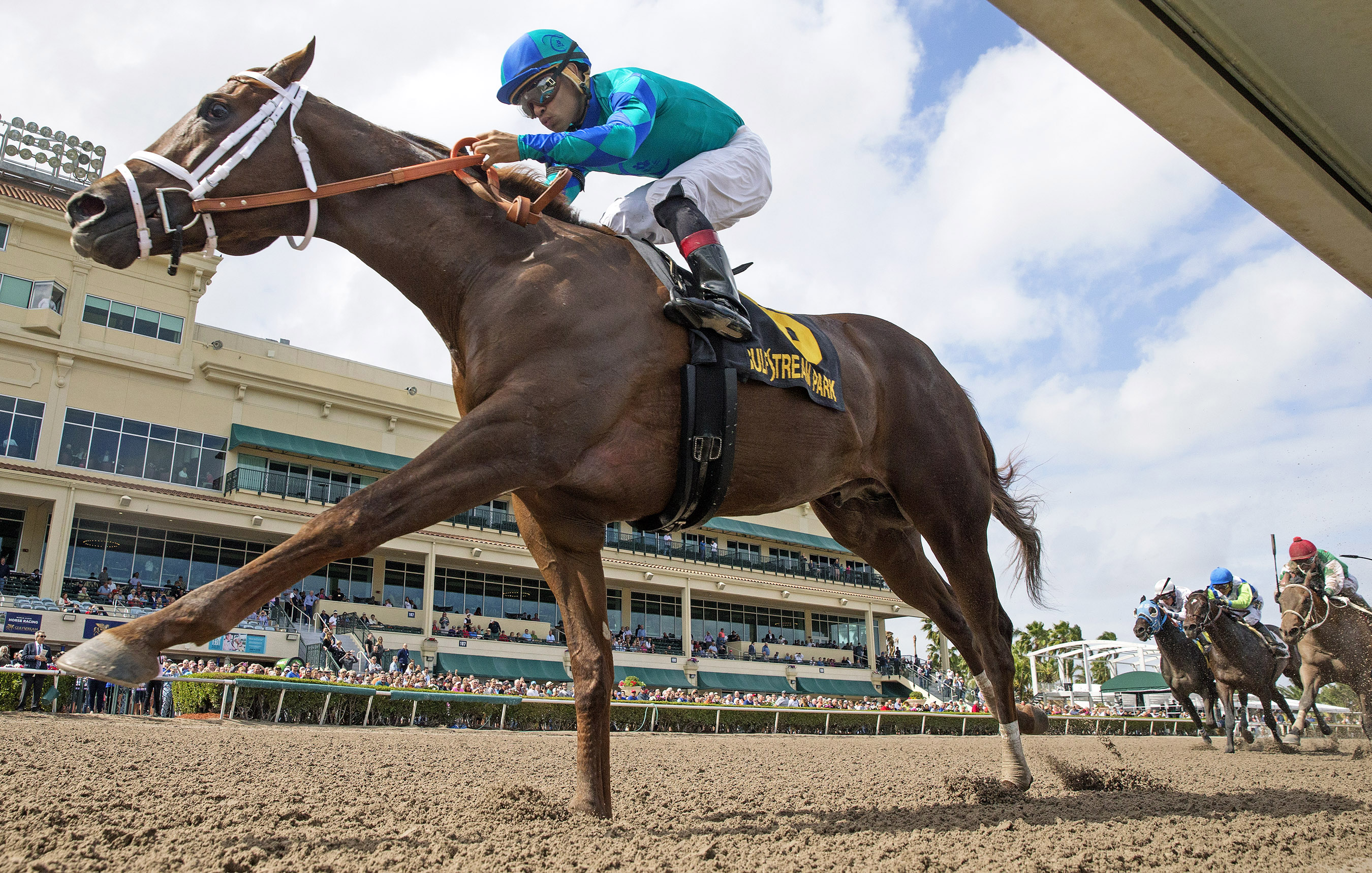 Strike Power wins the Swale Stakes