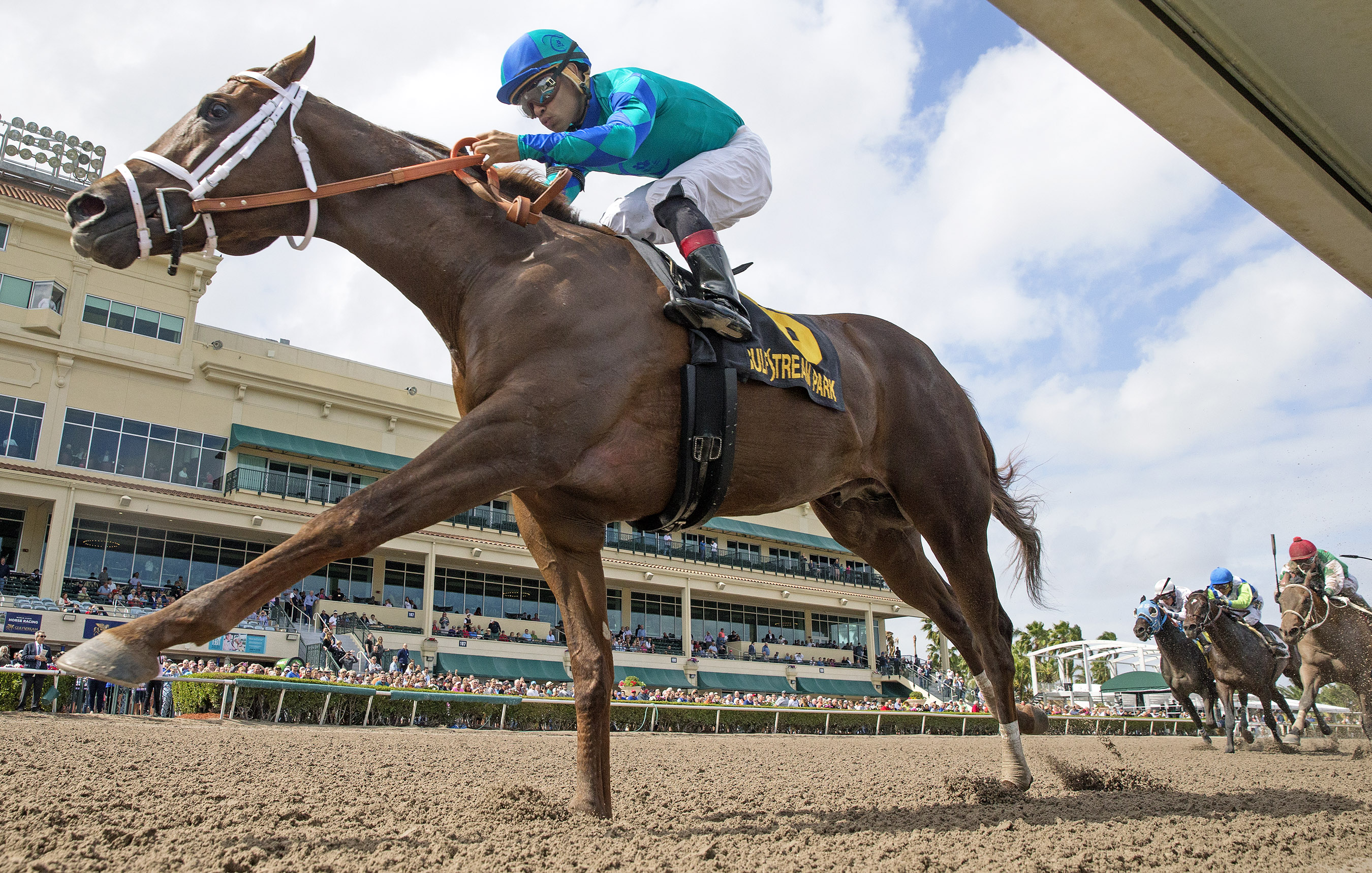 Strike Power wins the 2018 Swale Stakes