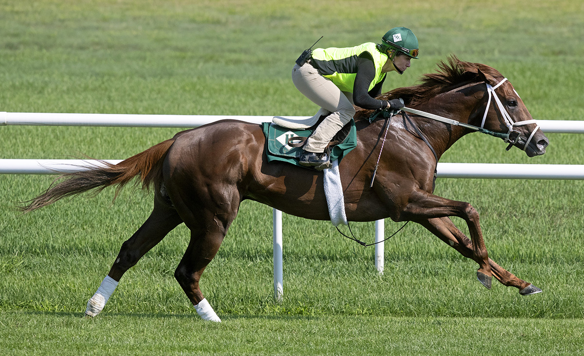 Strike Power trains at Saratoga on Aug. 10