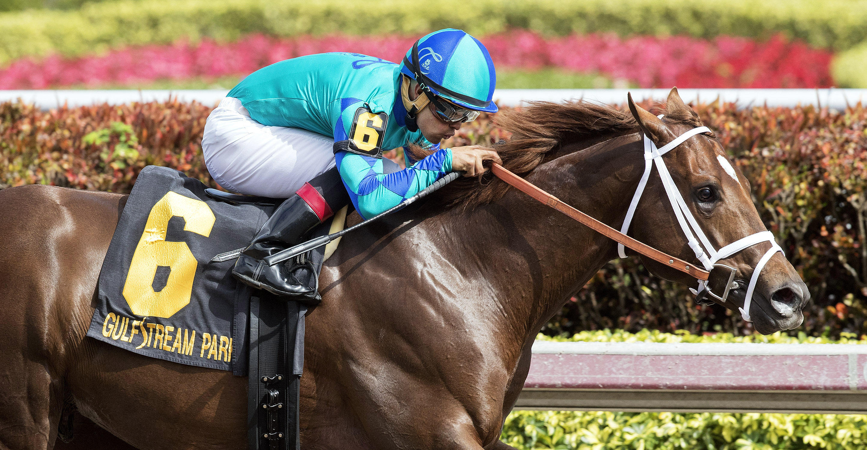Strike Power wins the 2018 Swale Stakes