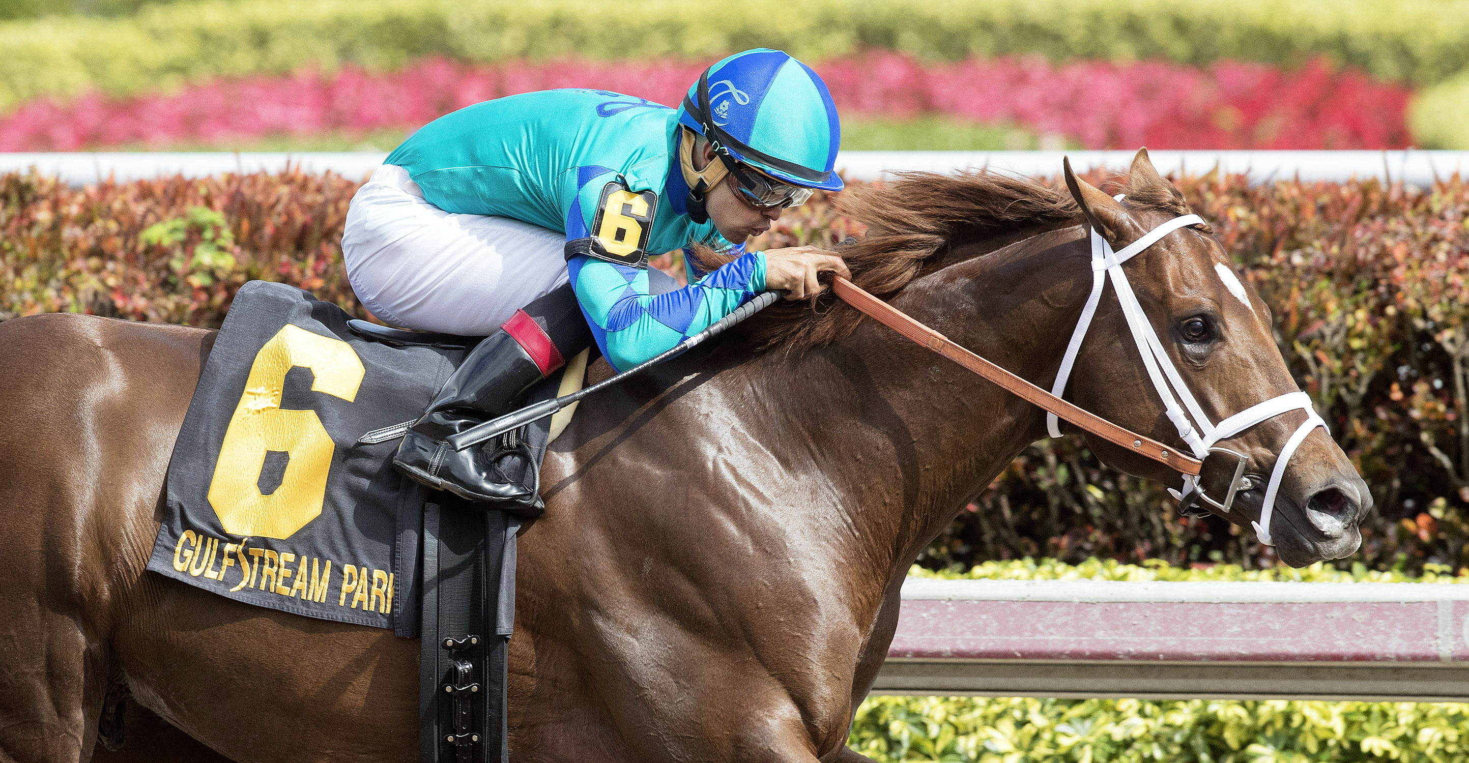 Strike Power wins the Swale Stakes