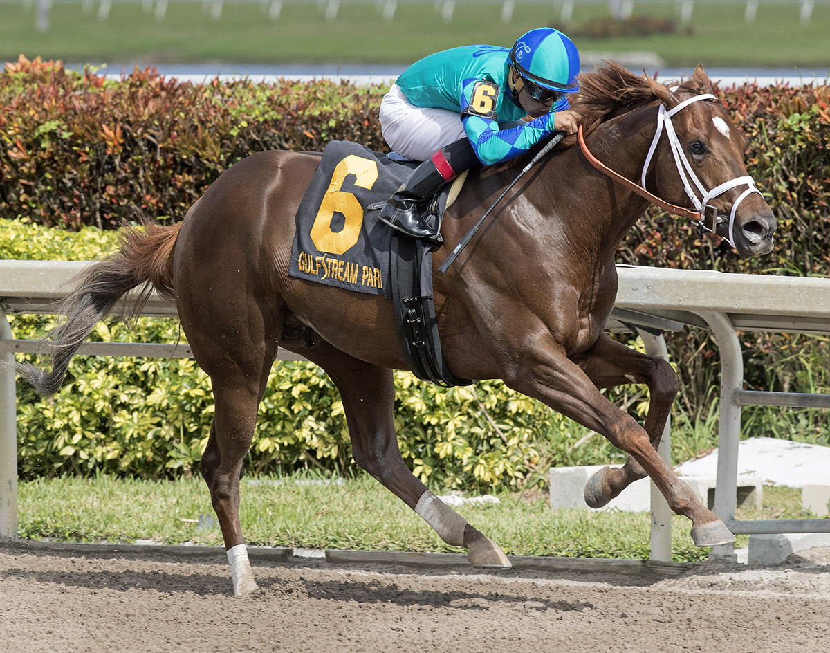 Strike Power wins the 2018 Swale Stakes
