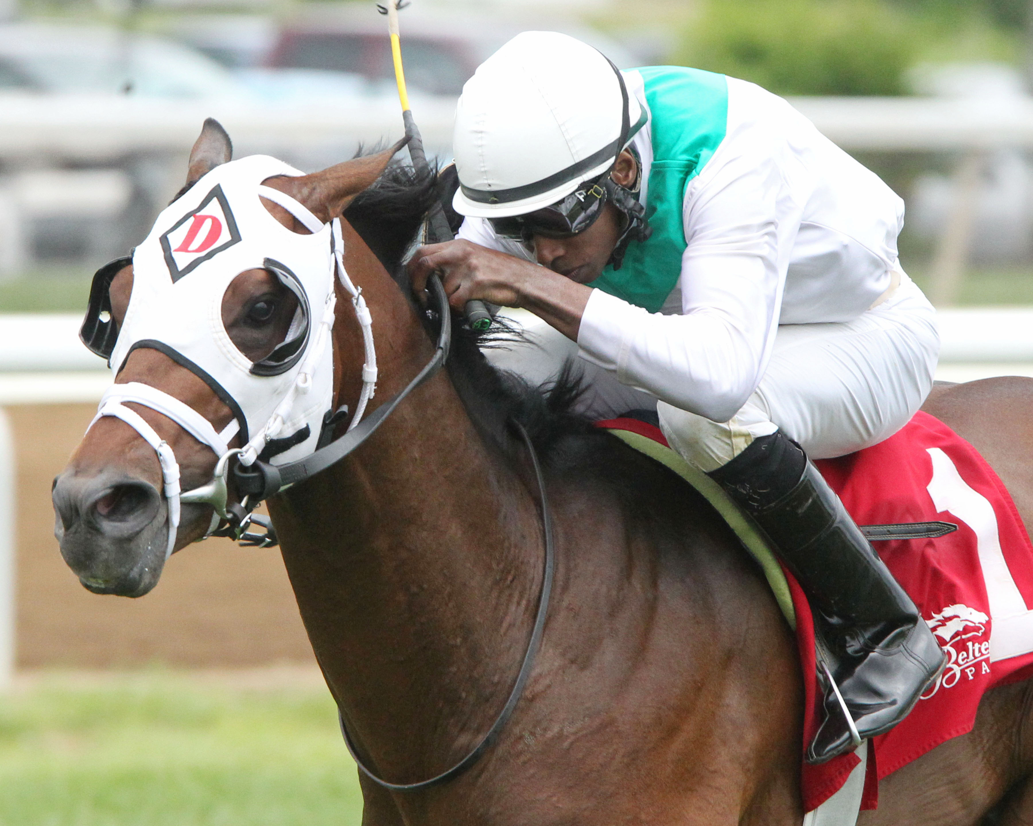 Strike Your Light wins 2017 Green Carpet Stakes
