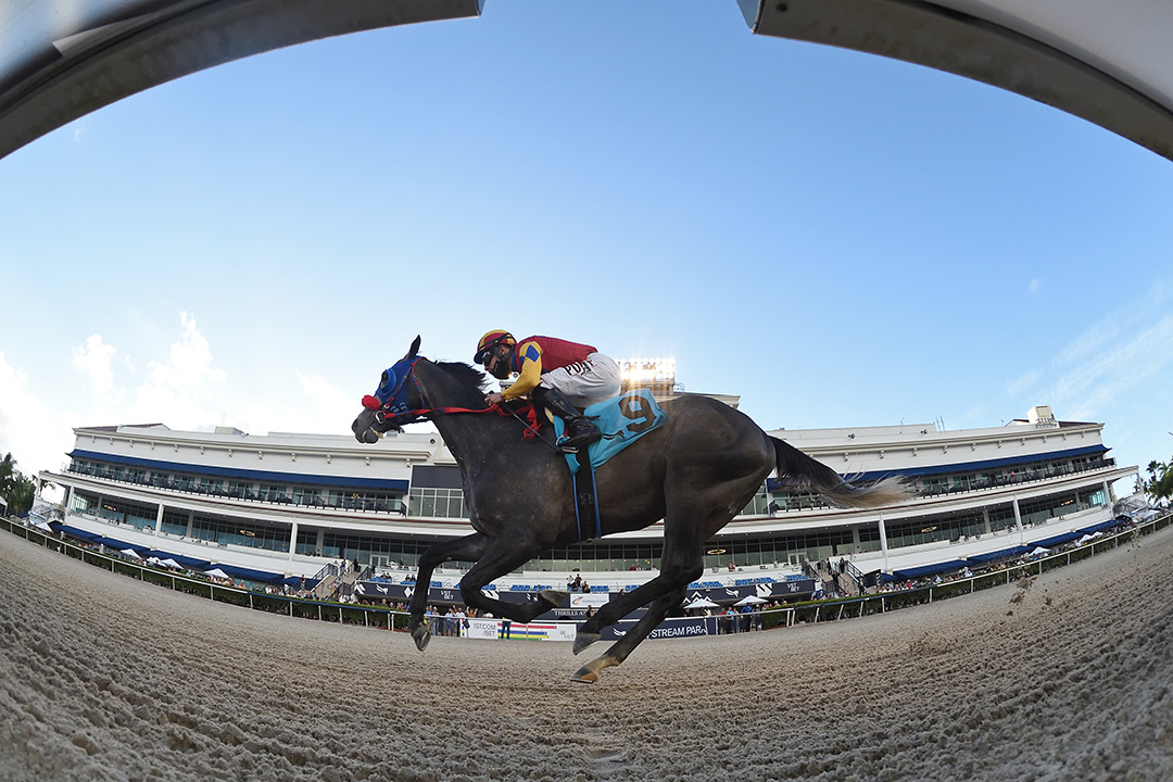 Strike Hard wins a Dec. 5 allowance at Gulfstream Park