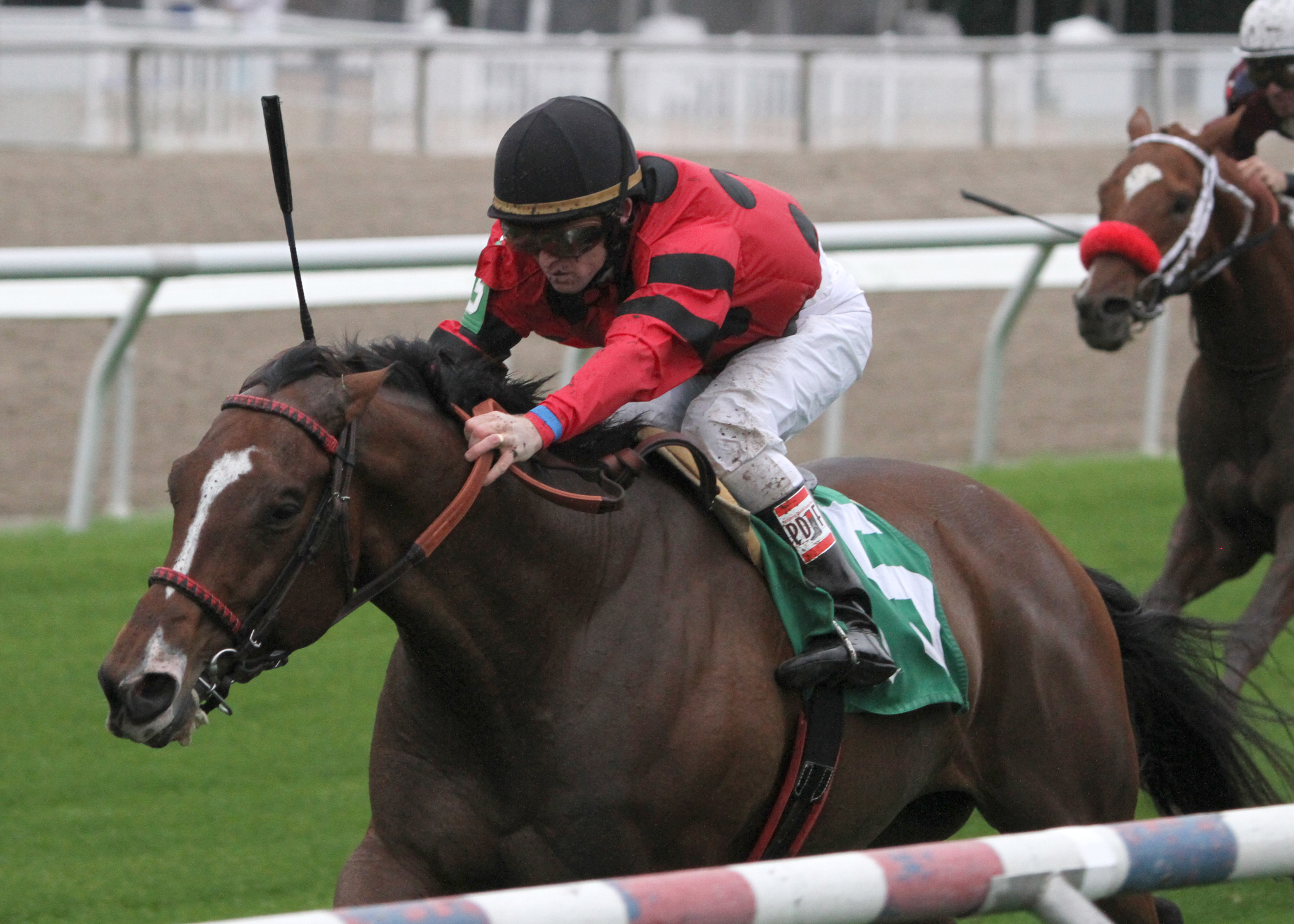 String King wins the Mr. Sulu Stakes