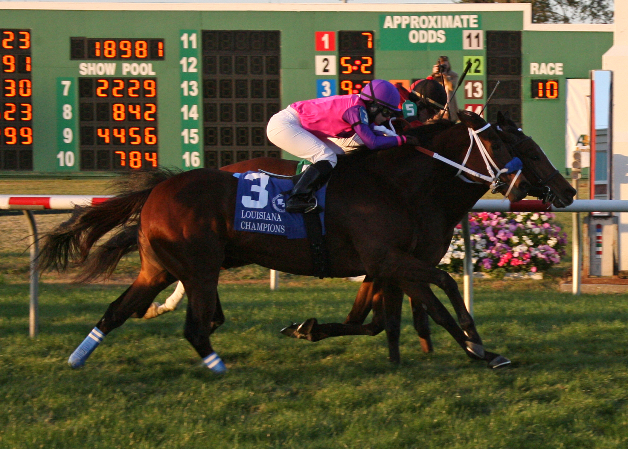 String King/Louisiana Champions Day Turf