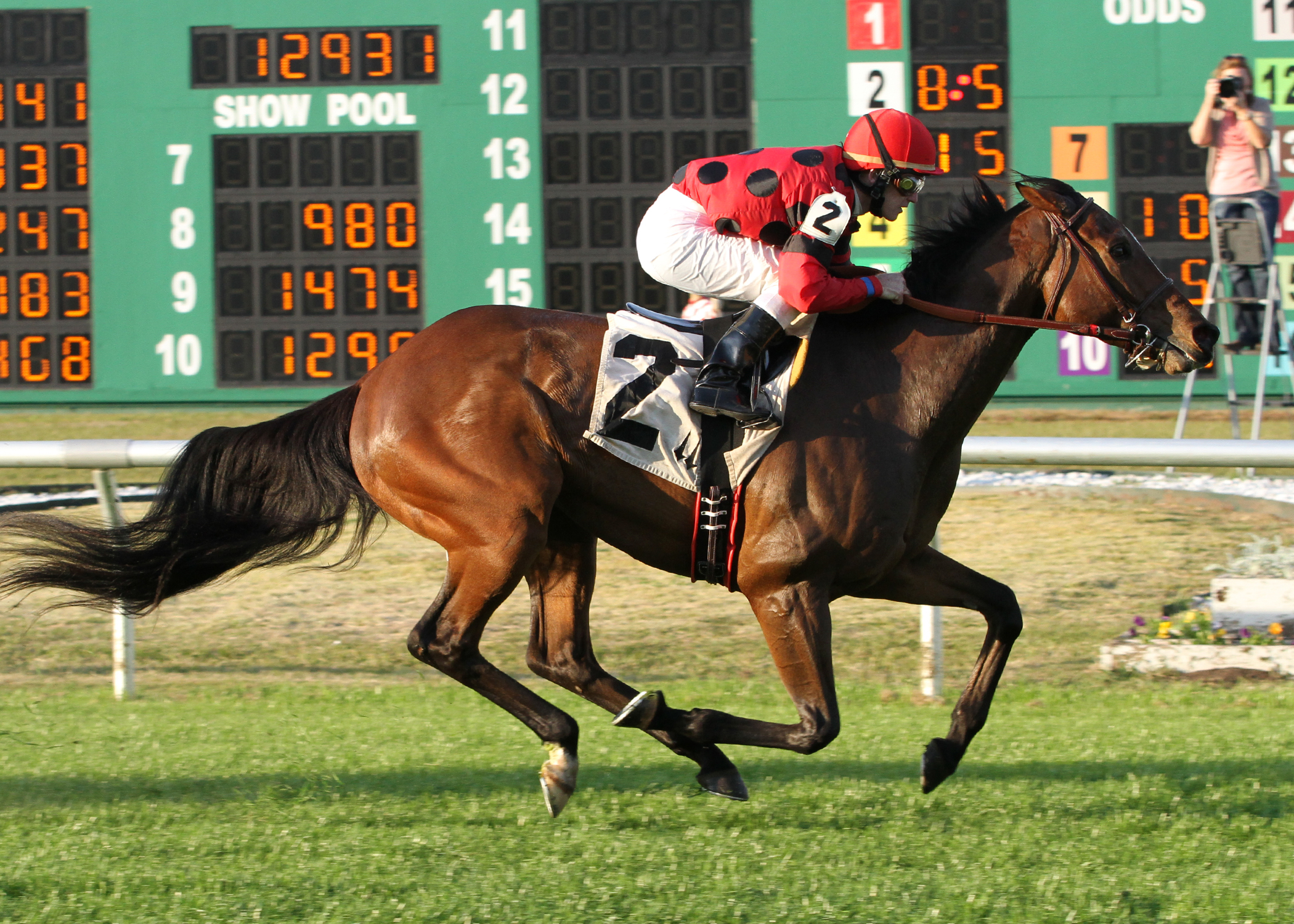 String King, Mr. Sulu Stakes